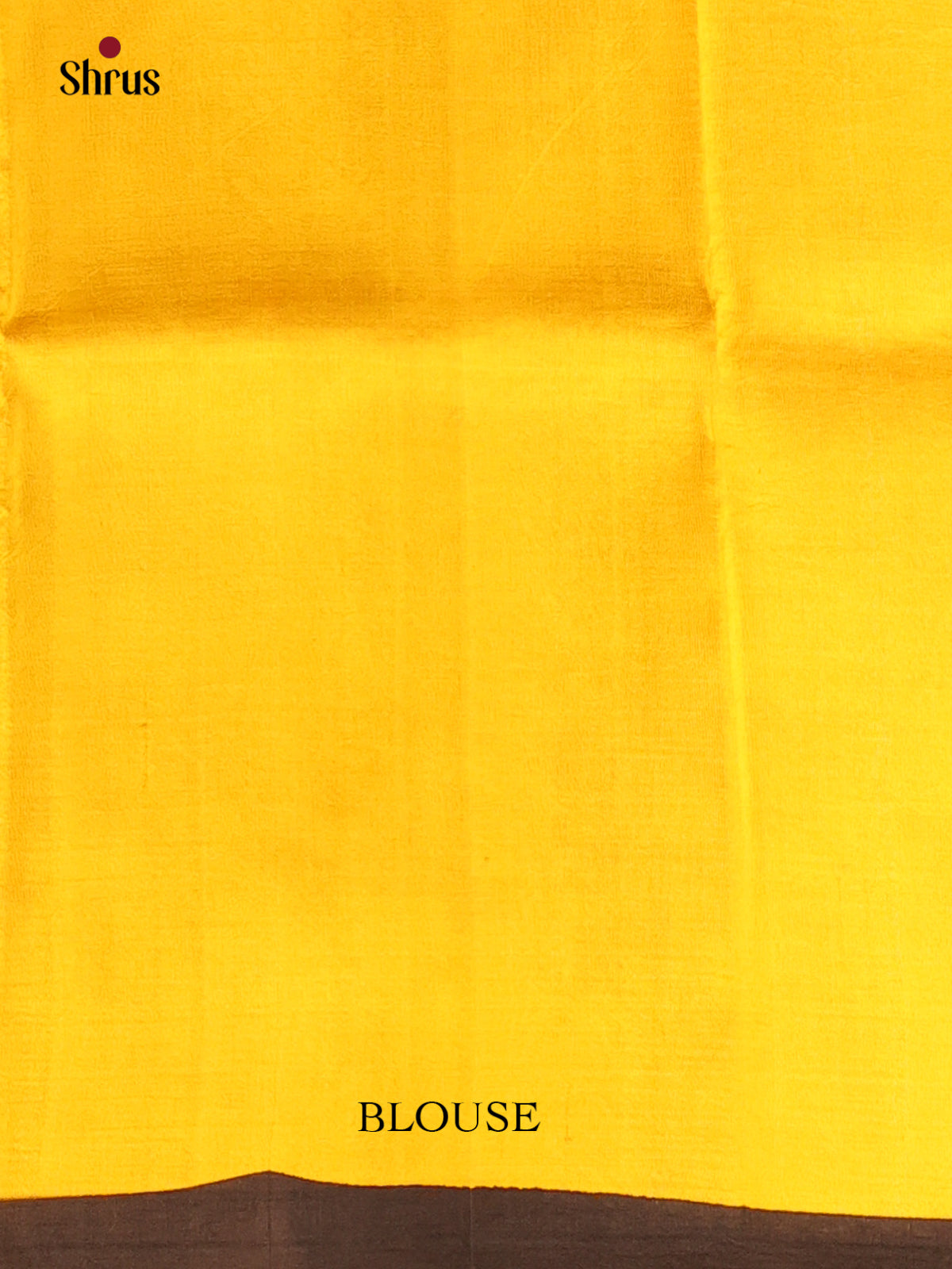 Dark Mustard & Yellow- Murshidabad Silk Saree - Shop on Shrus.com