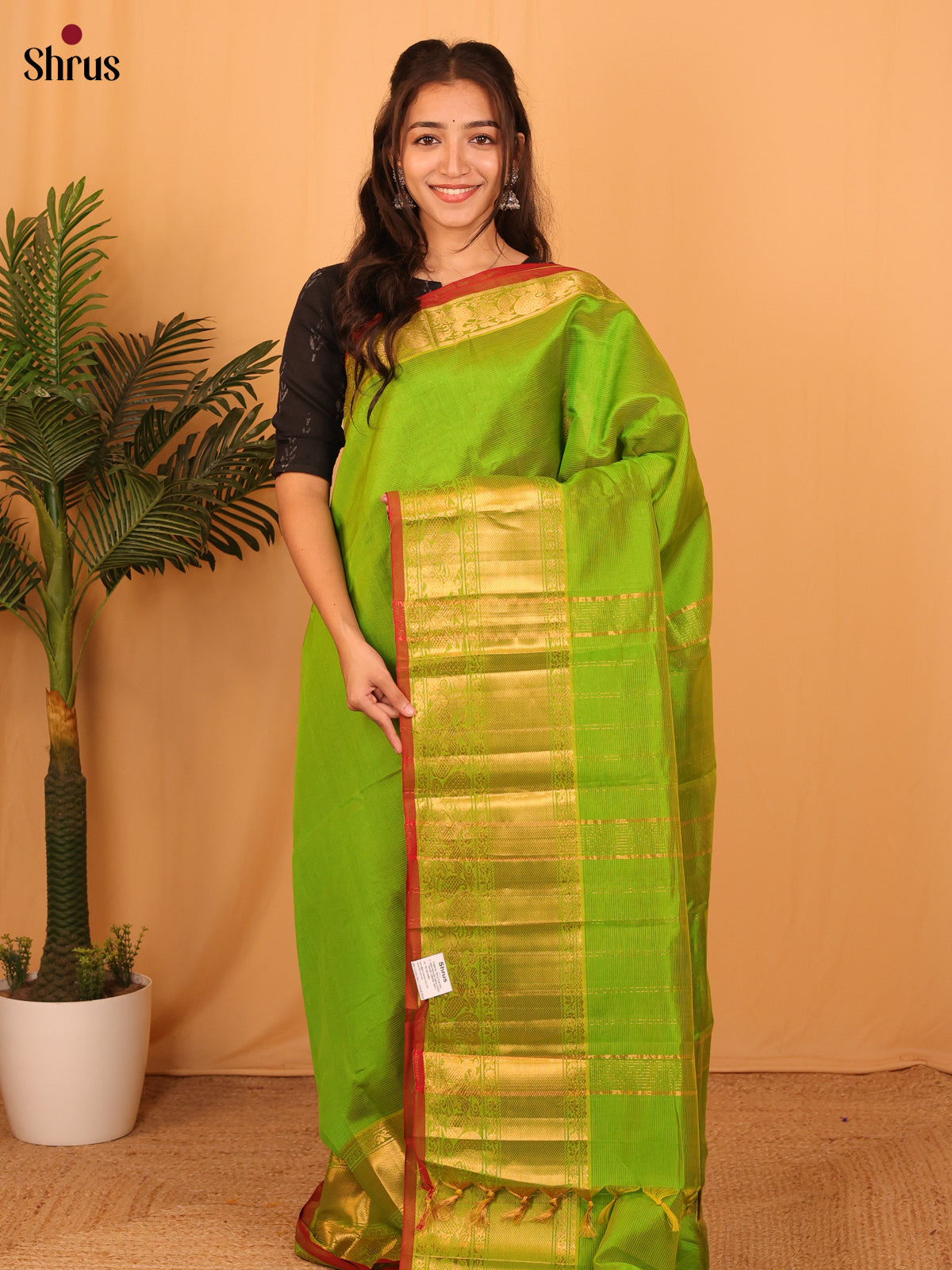 Green Mangalagiri silk cotton Saree With Golden Zari Woven Border & Pallu