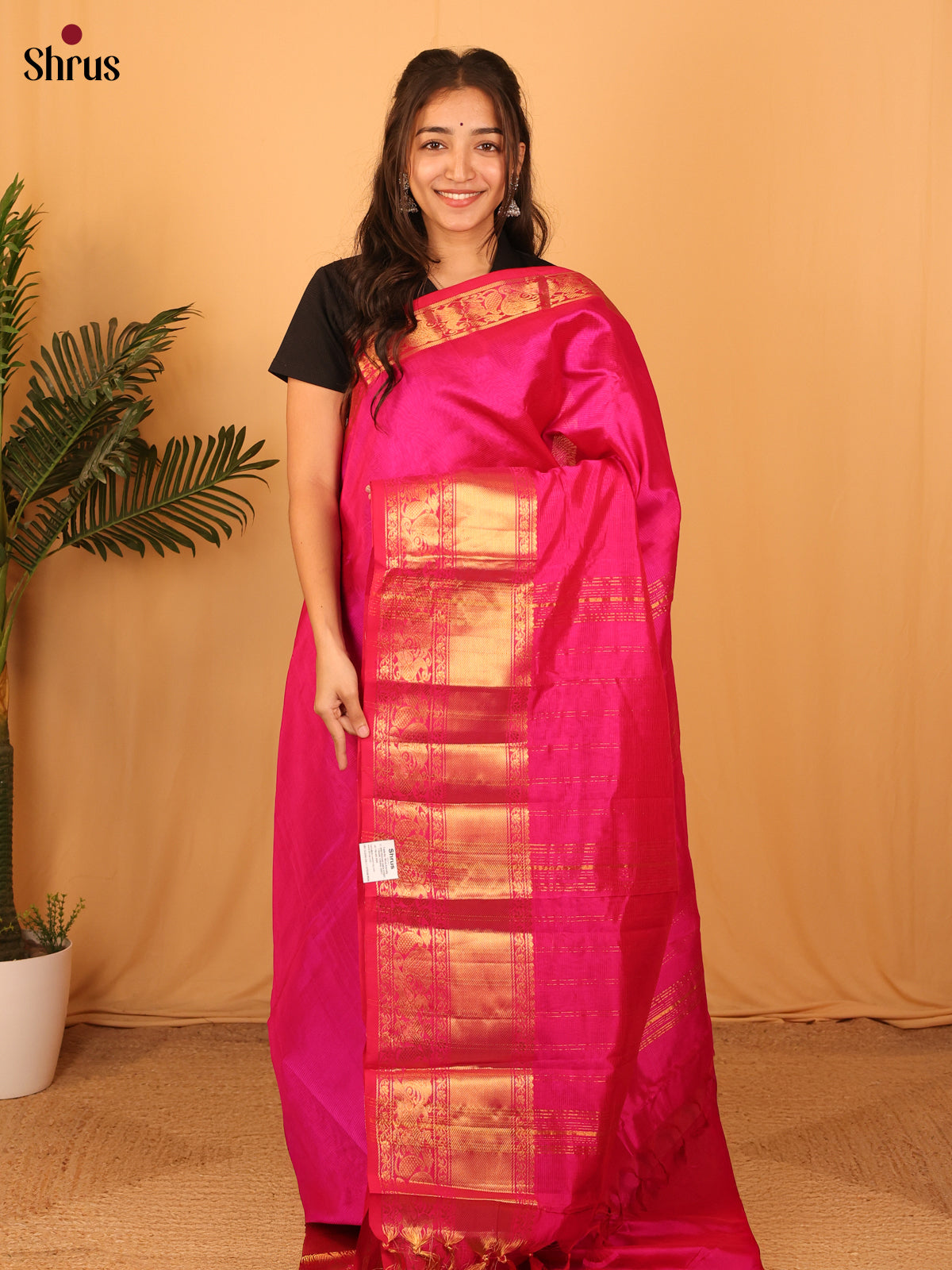 Pink(Single Tone) - Mangalagiri silkcotton Saree with Gold Zari Border - Shop on Shrus.com