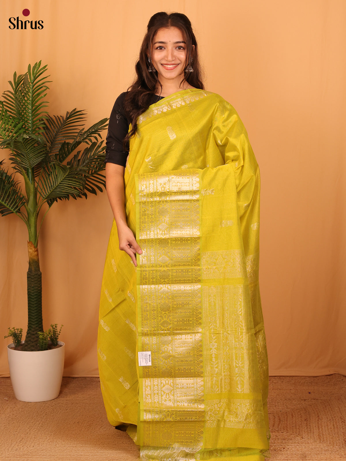 Mustardy Green(single Tone) - Mangalagiri silkcotton Saree - Shop on Shrus.com