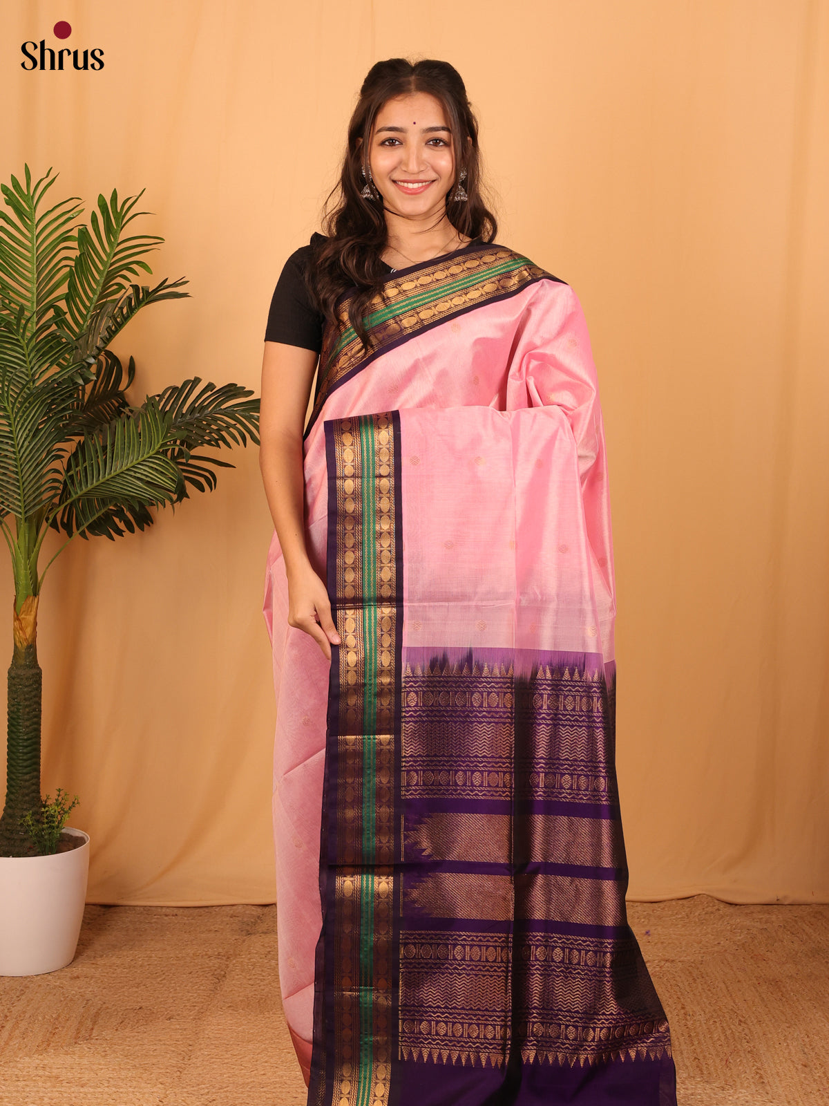 Pink & Violet - Silk Cotton Saree - Shop on Shrus.com