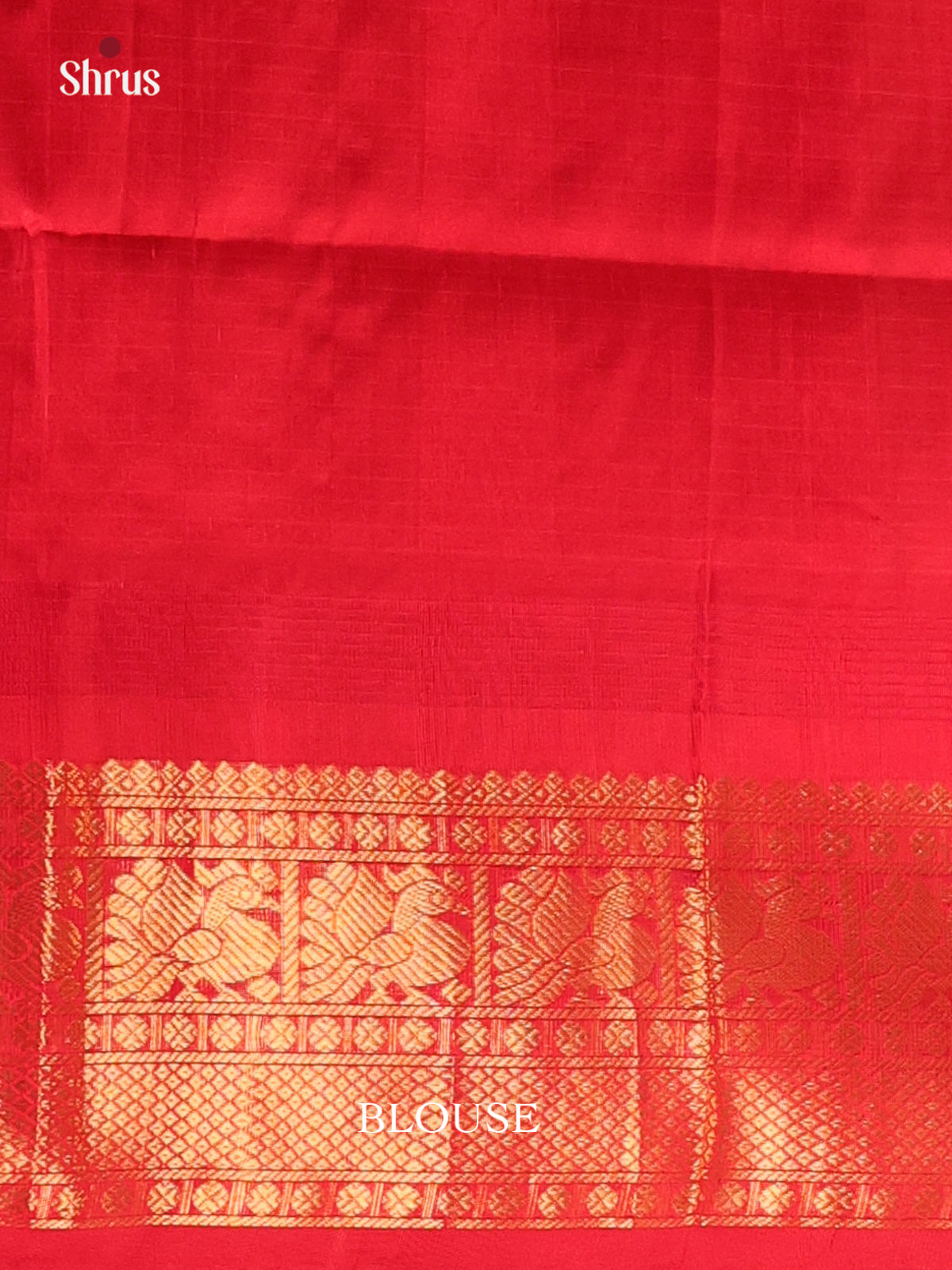Cream & Red- Silk Cotton Saree - Shop on Shrus.com