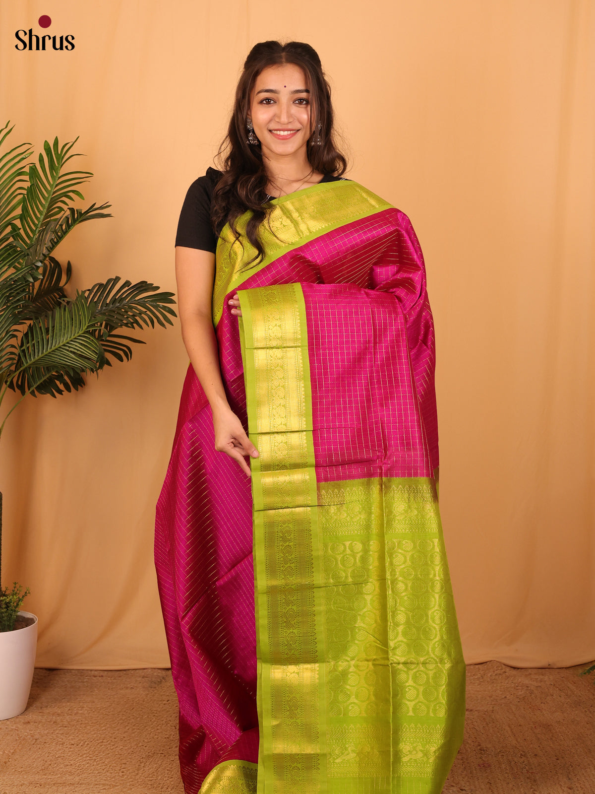 Majenta & Green - Silk Cotton Saree - Shop on Shrus.com
