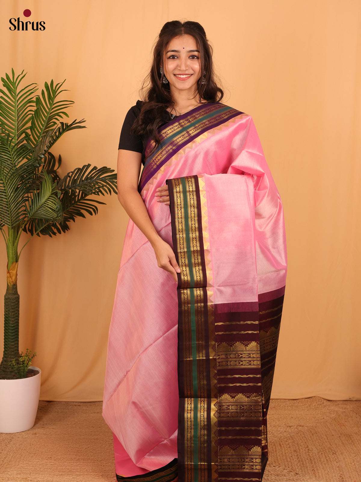 Pink & Brown- Silk Cotton Saree - Shop on Shrus.com