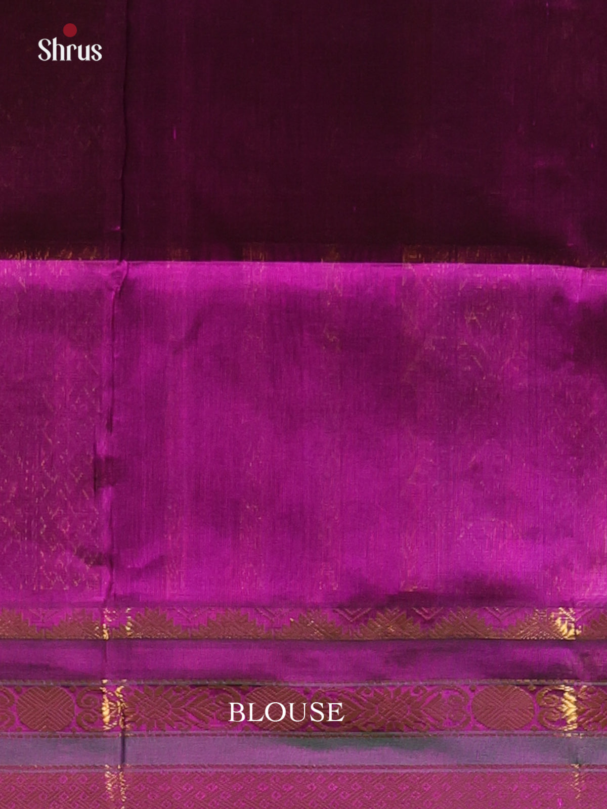 Pista Green & Violet - Silk Cotton Saree - Shop on Shrus.com