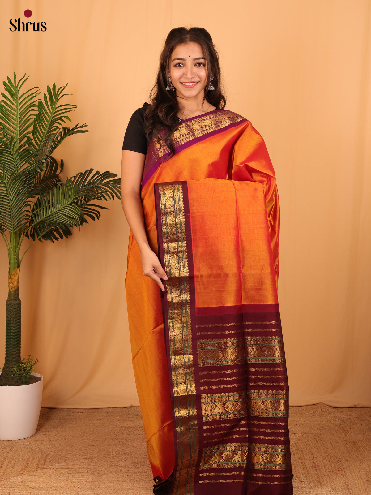 Orange & Brown - Silk Cotton Saree - Shop on Shrus.com
