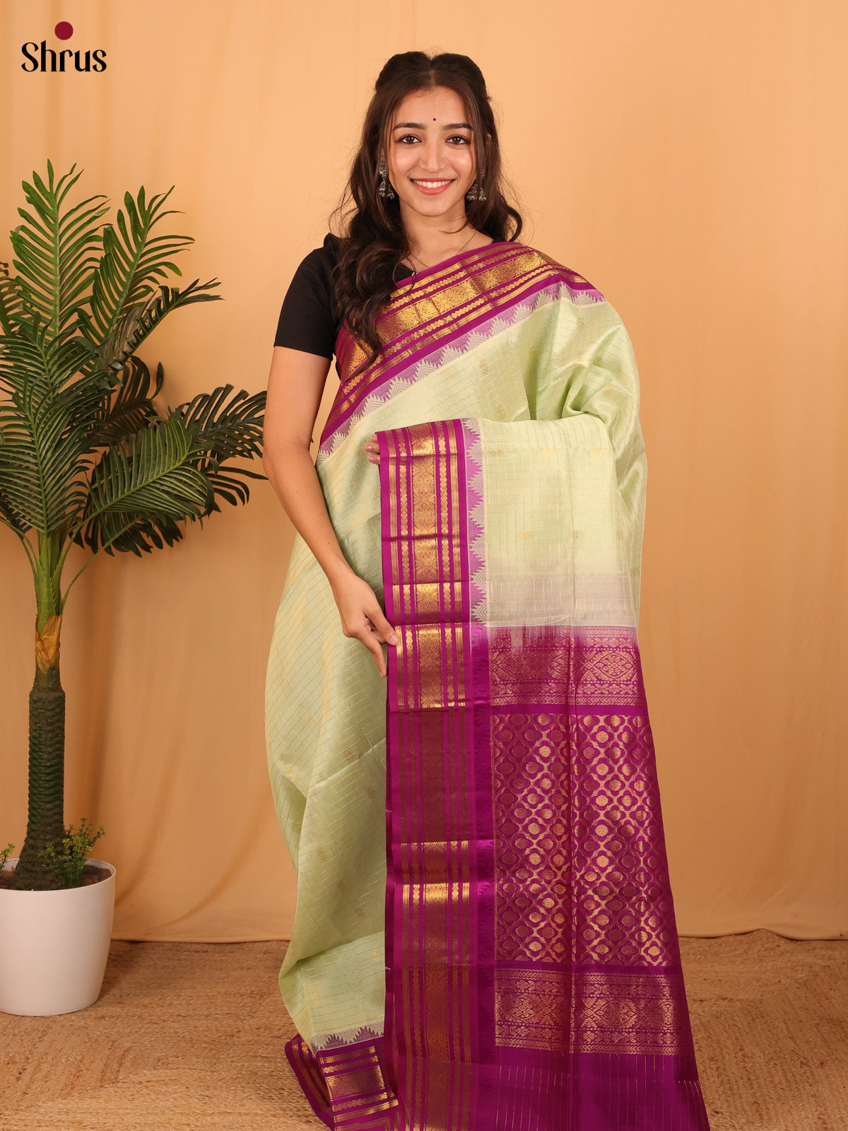 Pastel Green & Purple - Silk Cotton Saree - Shop on Shrus.com