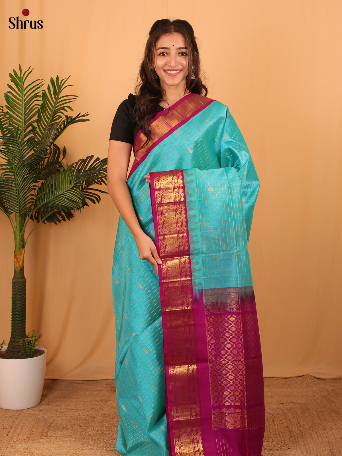 Teal & Purple- Silk Cotton Saree - Shop on Shrus.com