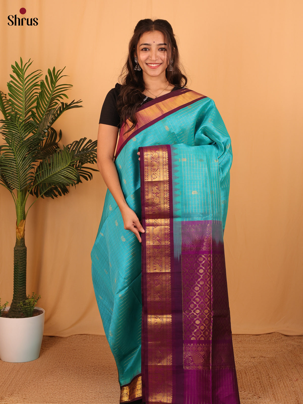 Saree 4 Blue & Purple- Silk Cotton Saree - Shop on Shrus.com