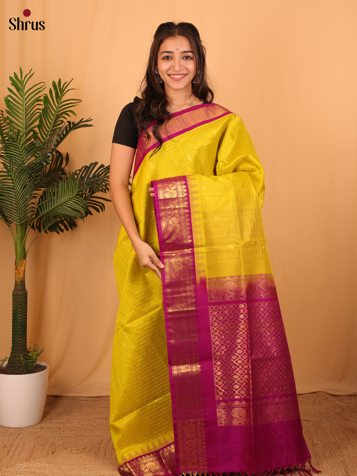 Green & Purple - Silk Cotton Saree - Shop on Shrus.com