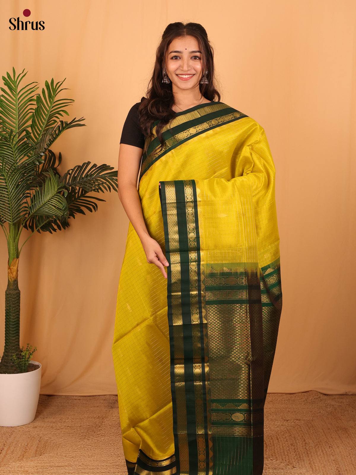 Lime Green & Green- Silk Cotton Saree - Shop on Shrus.com