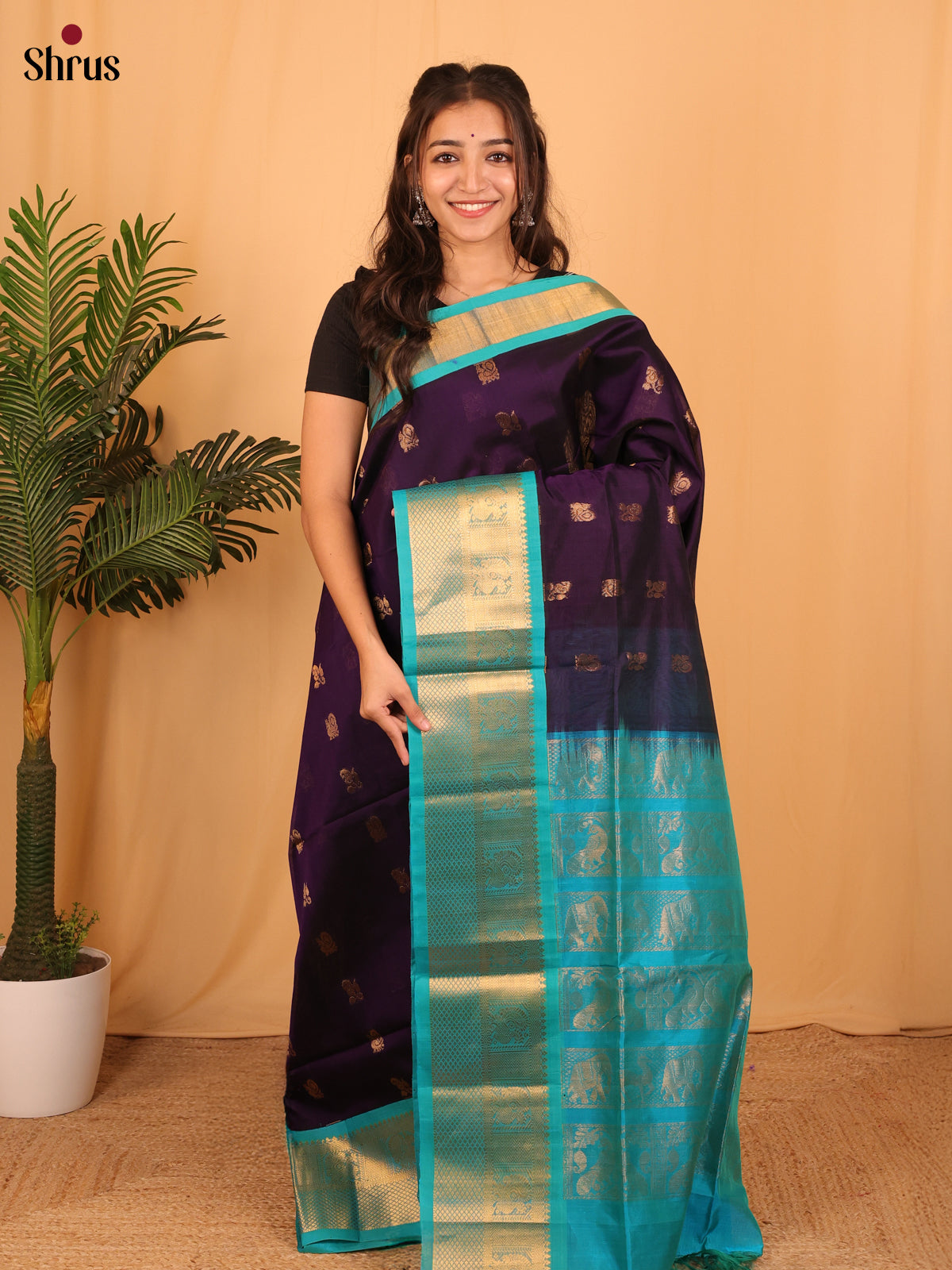 Violet & Teal - Silk Cotton Saree - Shop on Shrus.com