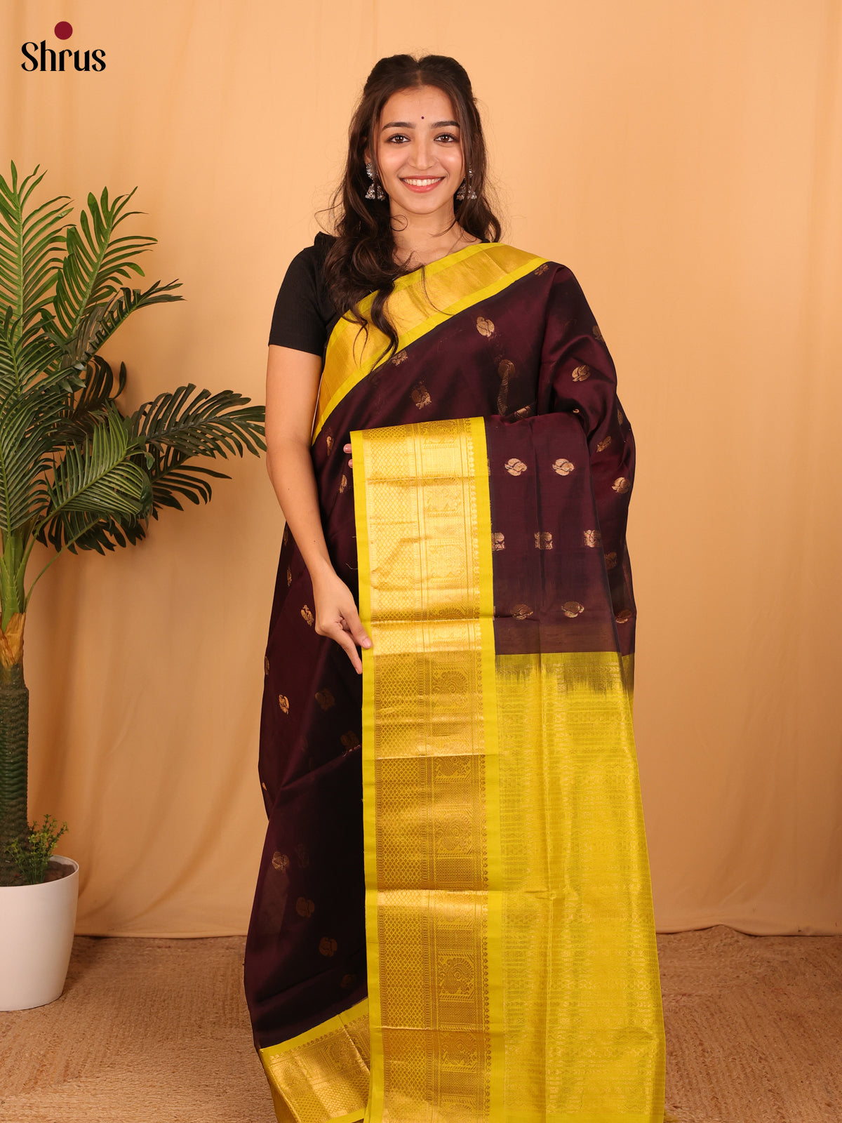 Brown & Yellow - Silk Cotton Saree - Shop on Shrus.com