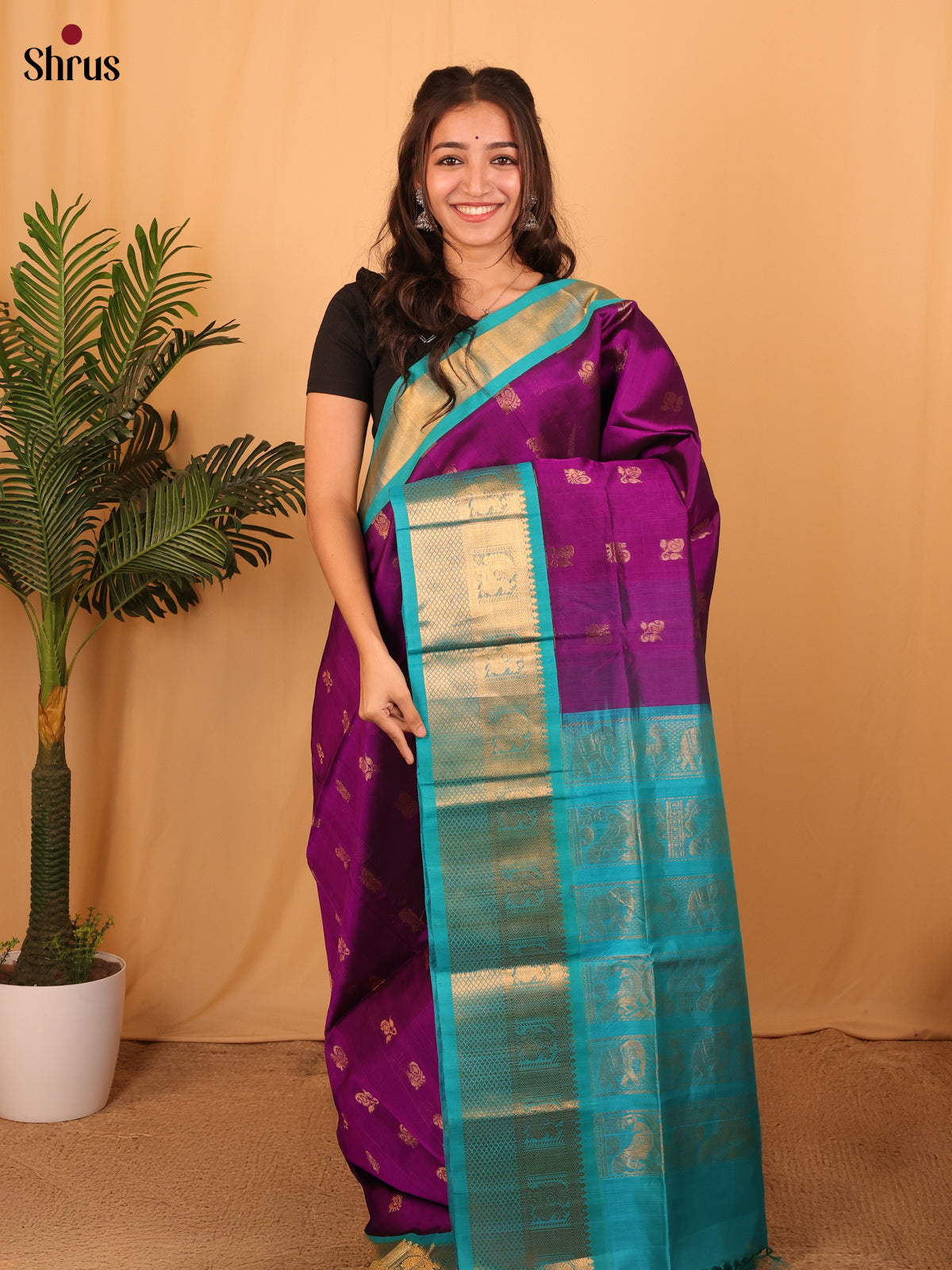 Violet & Teal - Silk Cotton Saree - Shop on Shrus.com