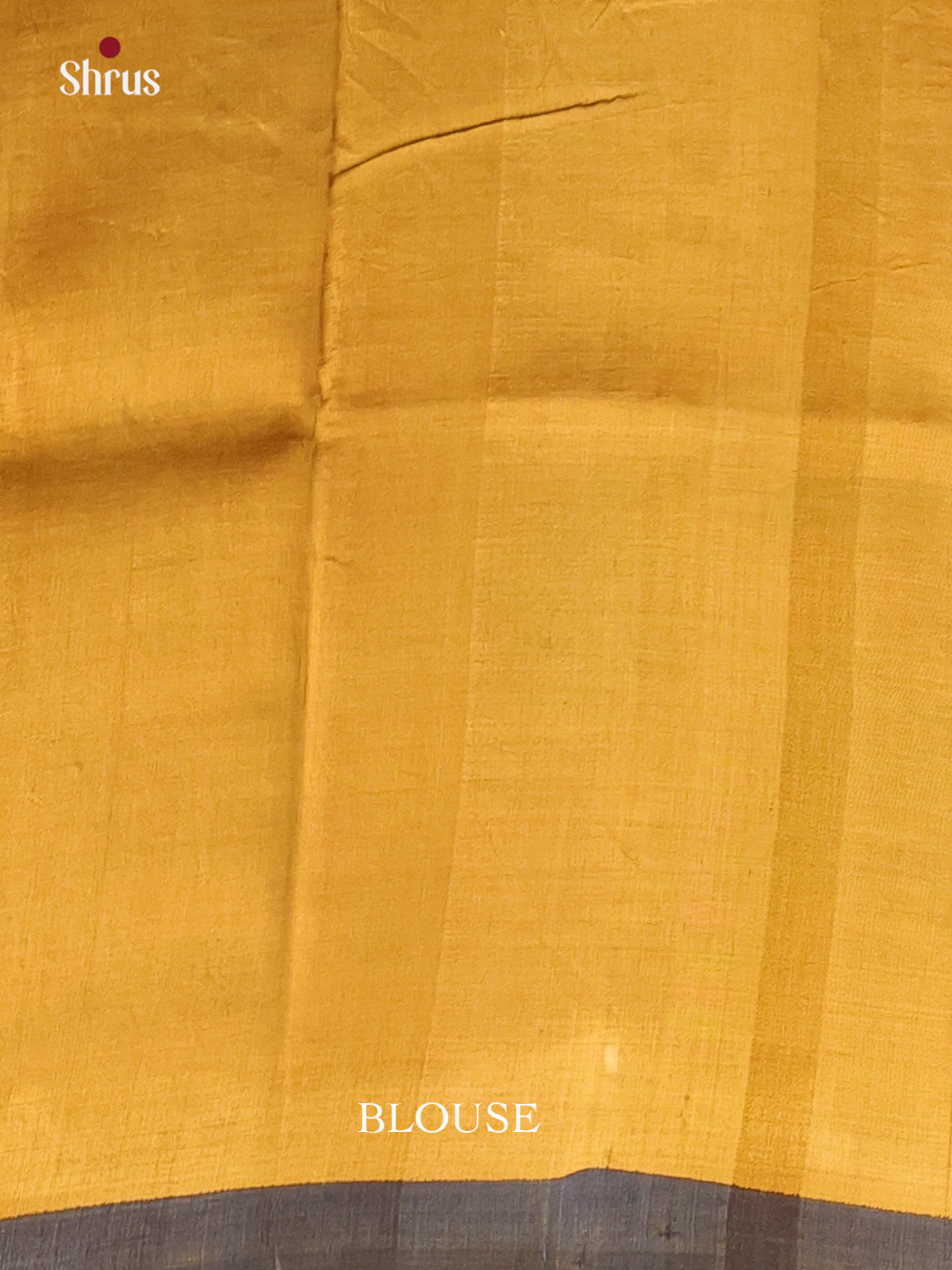 Grey & Beige - Murshidabad Silk Saree - Shop on Shrus.com