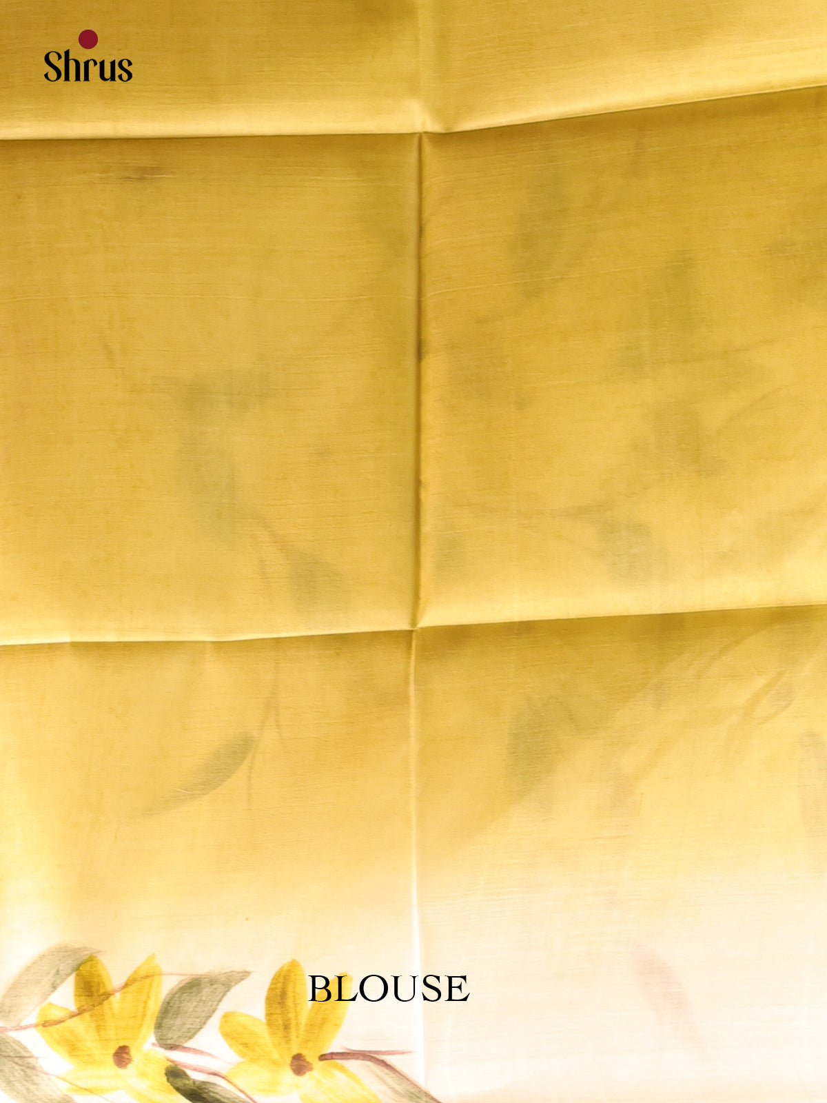 Green & Cream - Murshidabad Silk Saree - Shop on Shrus.com