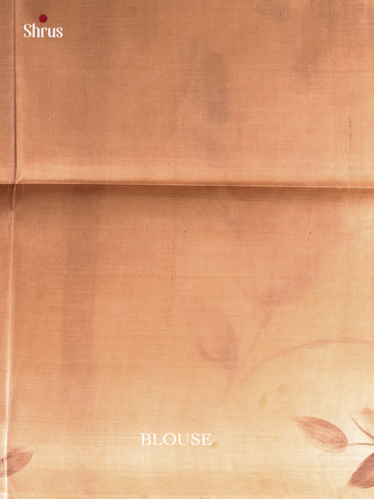 Cream & Brown - Murshidabad Silk Saree - Shop on Shrus.com