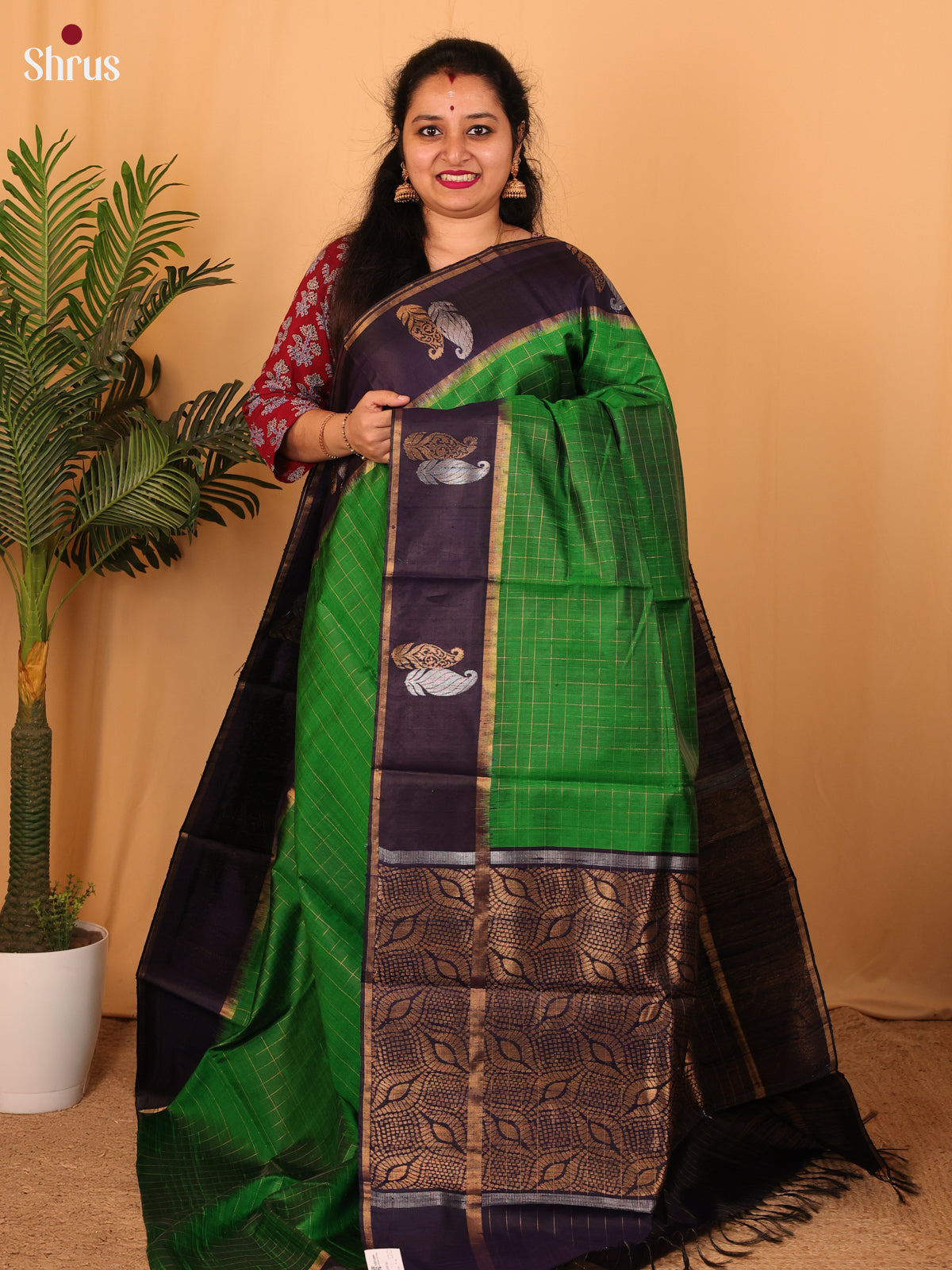 Green & Blue - Raw Silk Saree - Shop on Shrus.com