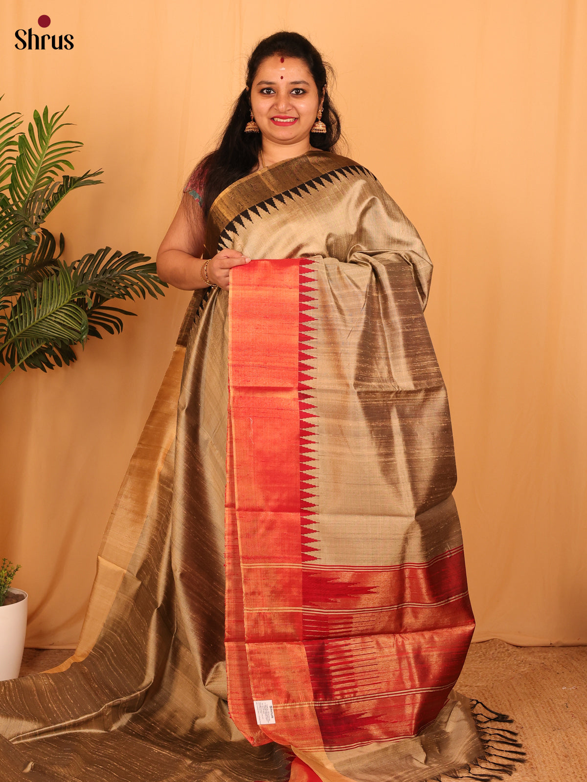Dull Gold & Red - Raw Silk Saree - Shop on Shrus.com