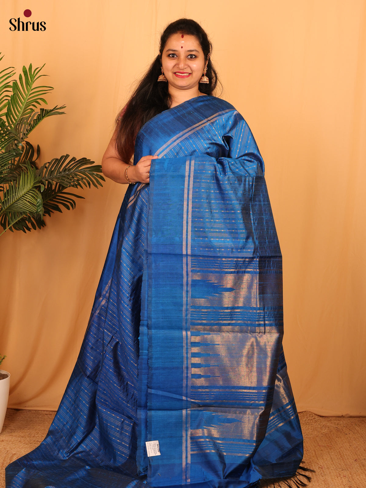 Blue- Raw Silk Saree - Shop on Shrus.com