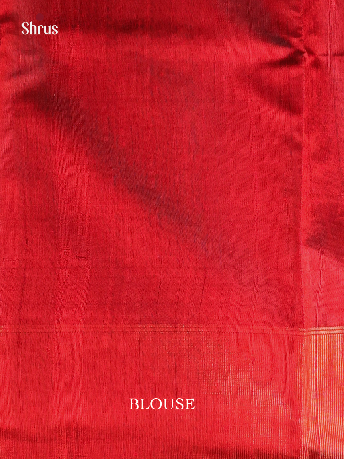 DAS06403 - Raw Silk Saree - Shop on Shrus.com