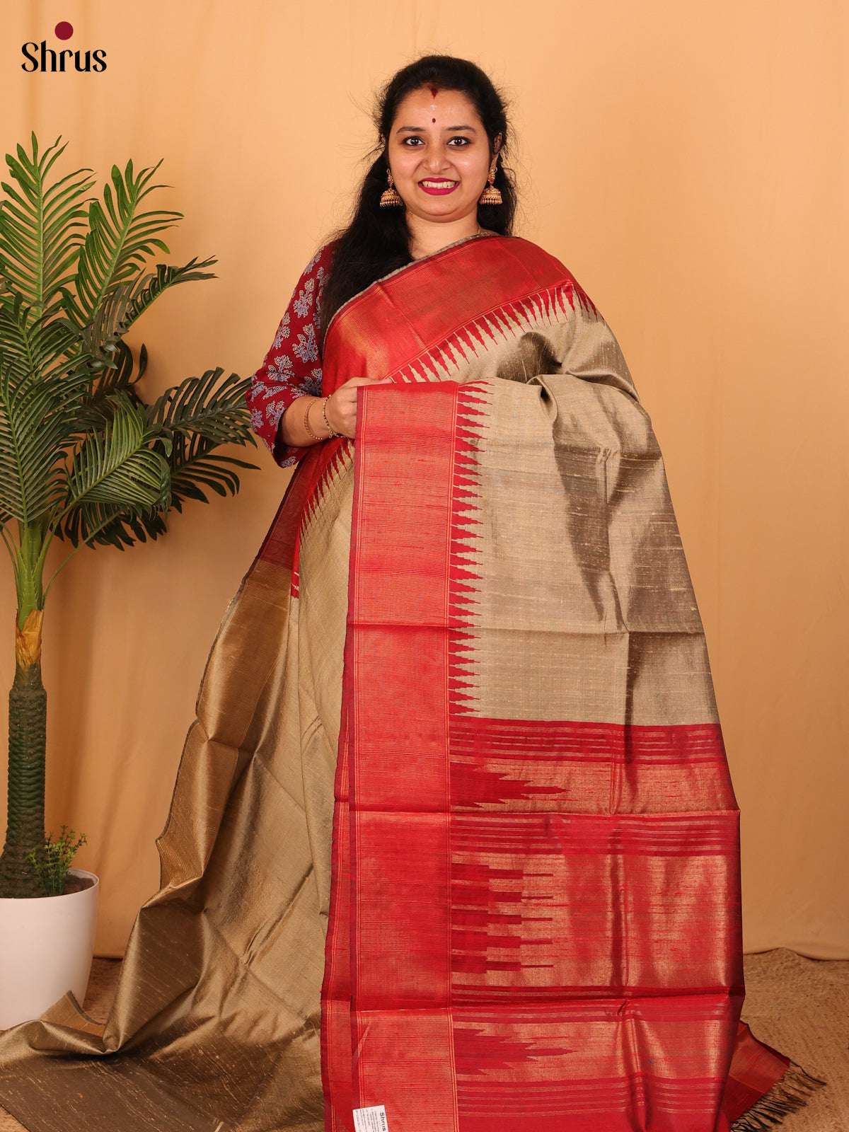 DAS06403 - Raw Silk Saree - Shop on Shrus.com