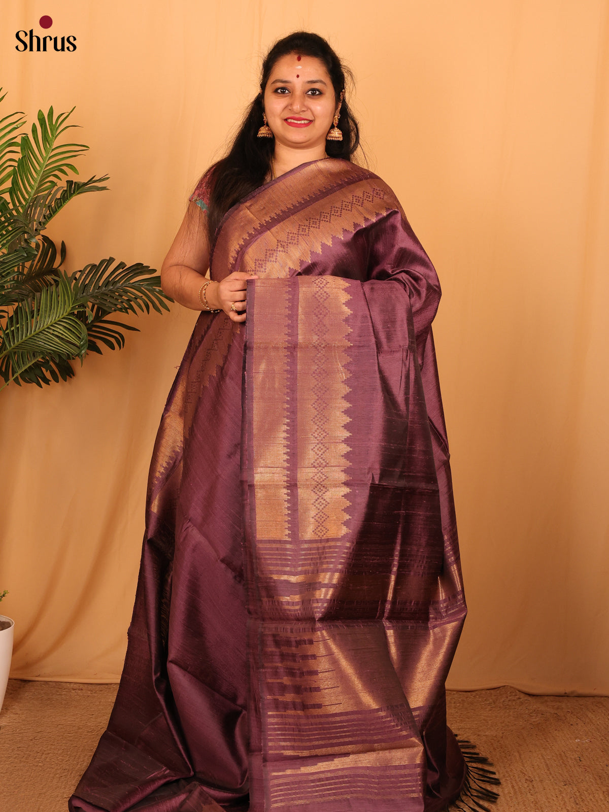 Brown(Single Tone) - Raw Silk Saree - Shop on Shrus.com