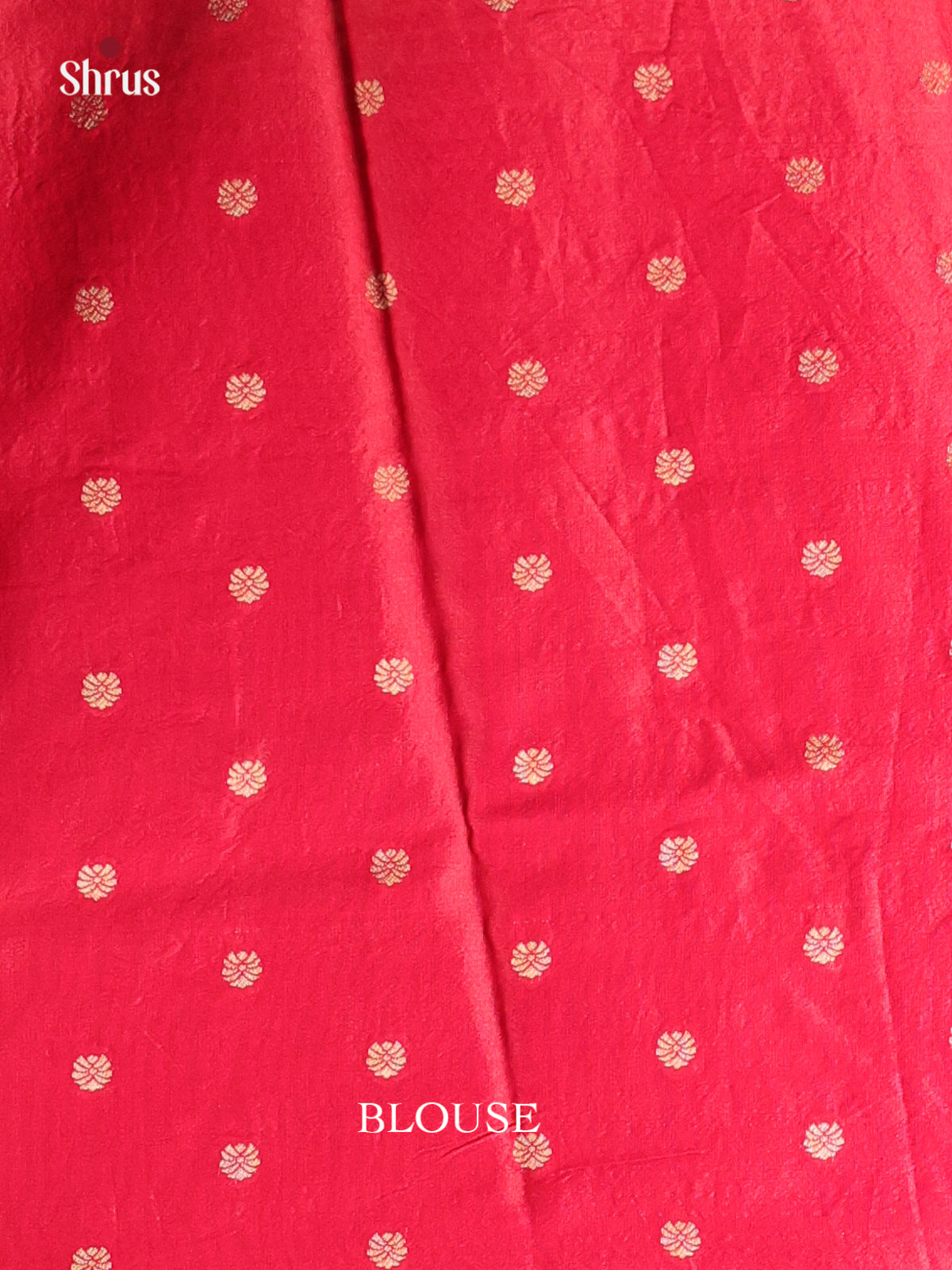 DAS08001 - Printed Tussar Saree - Shop on Shrus.com