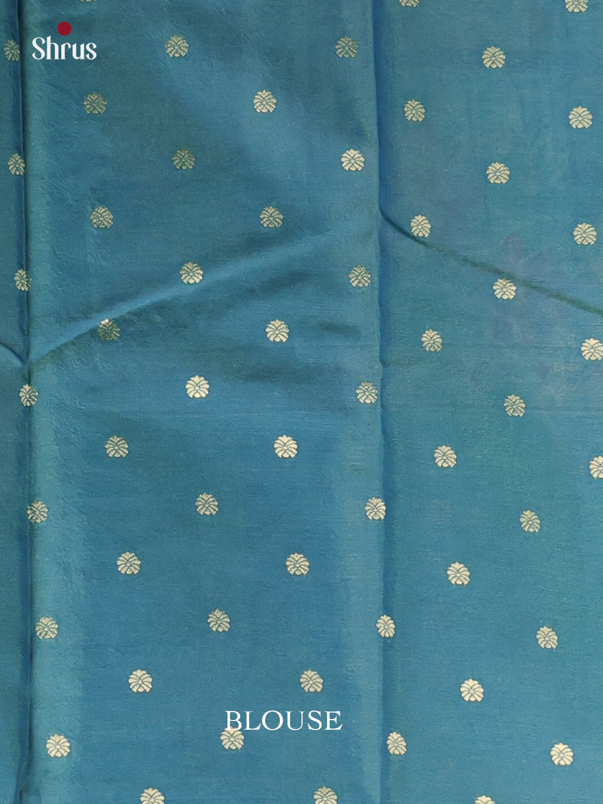 DAS08002 - Printed Tussar Saree - Shop on Shrus.com