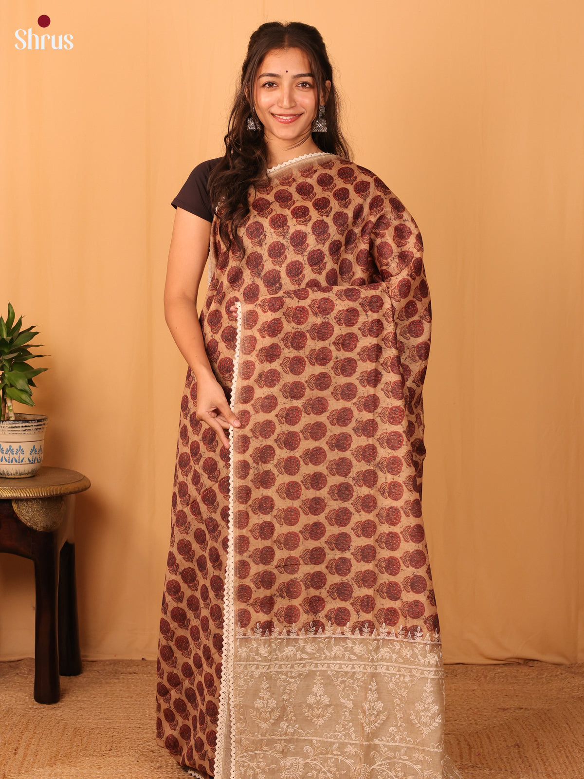 Brown & Grey - Semi Kantha Saree - Shop on Shrus.com
