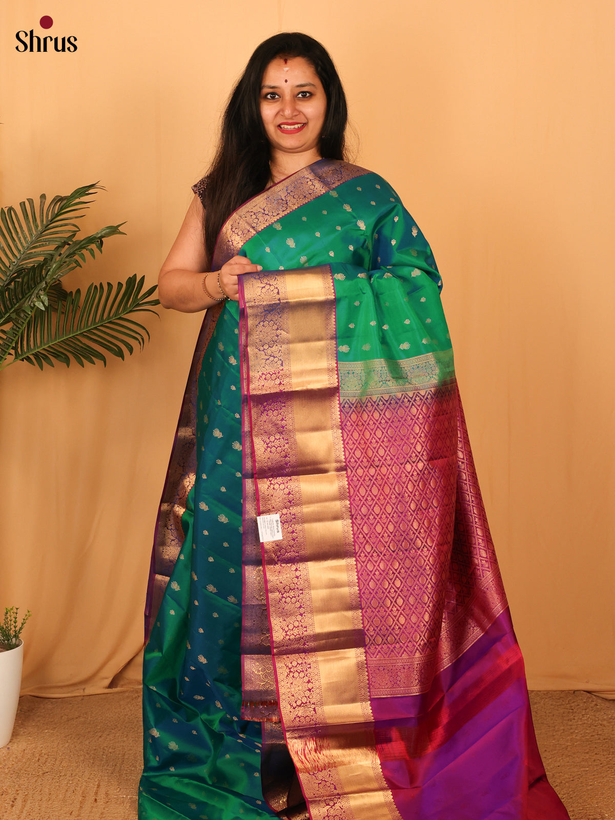Green & Purple - Kanchipuram silk Saree - Shop on Shrus.com
