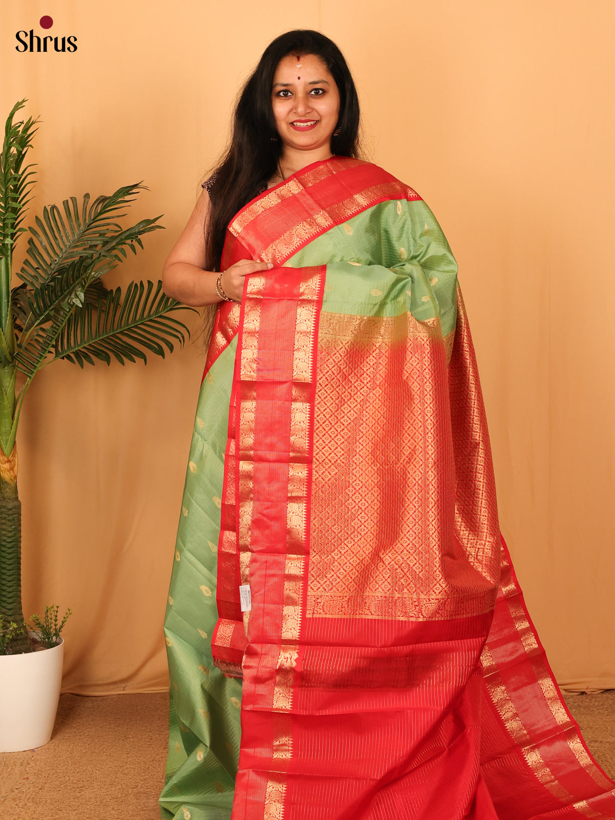Pastel Green & Red - Kanchipuram silk Saree - Shop on Shrus.com