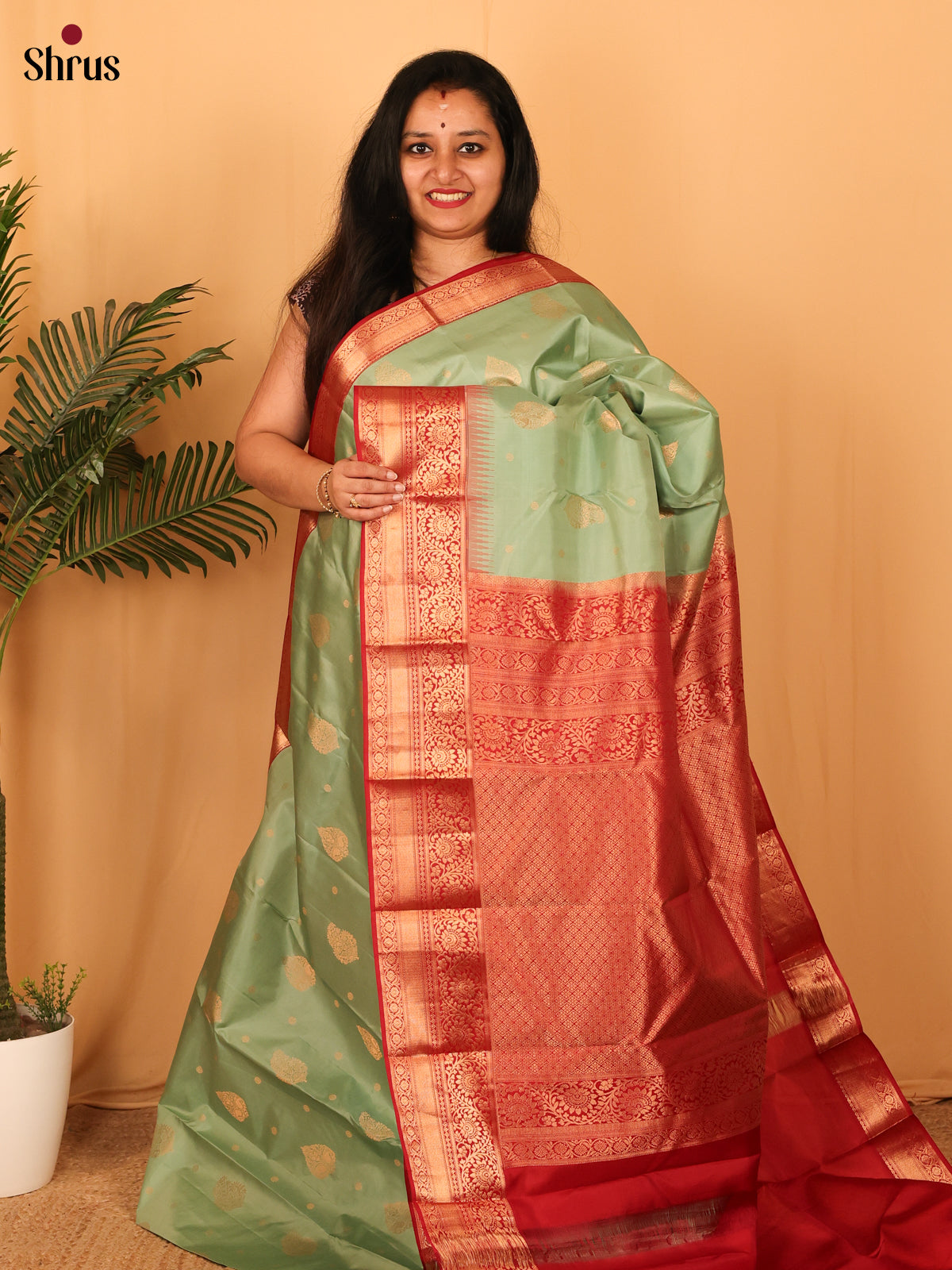Pastel Green & Red - Kanchipuram silk Saree - Shop on Shrus.com