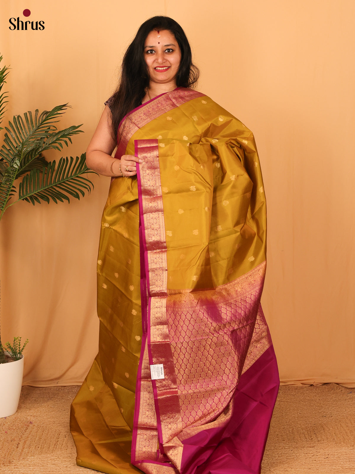 Mehandi & Purple- Kanchipuram silk Saree - Shop on Shrus.com