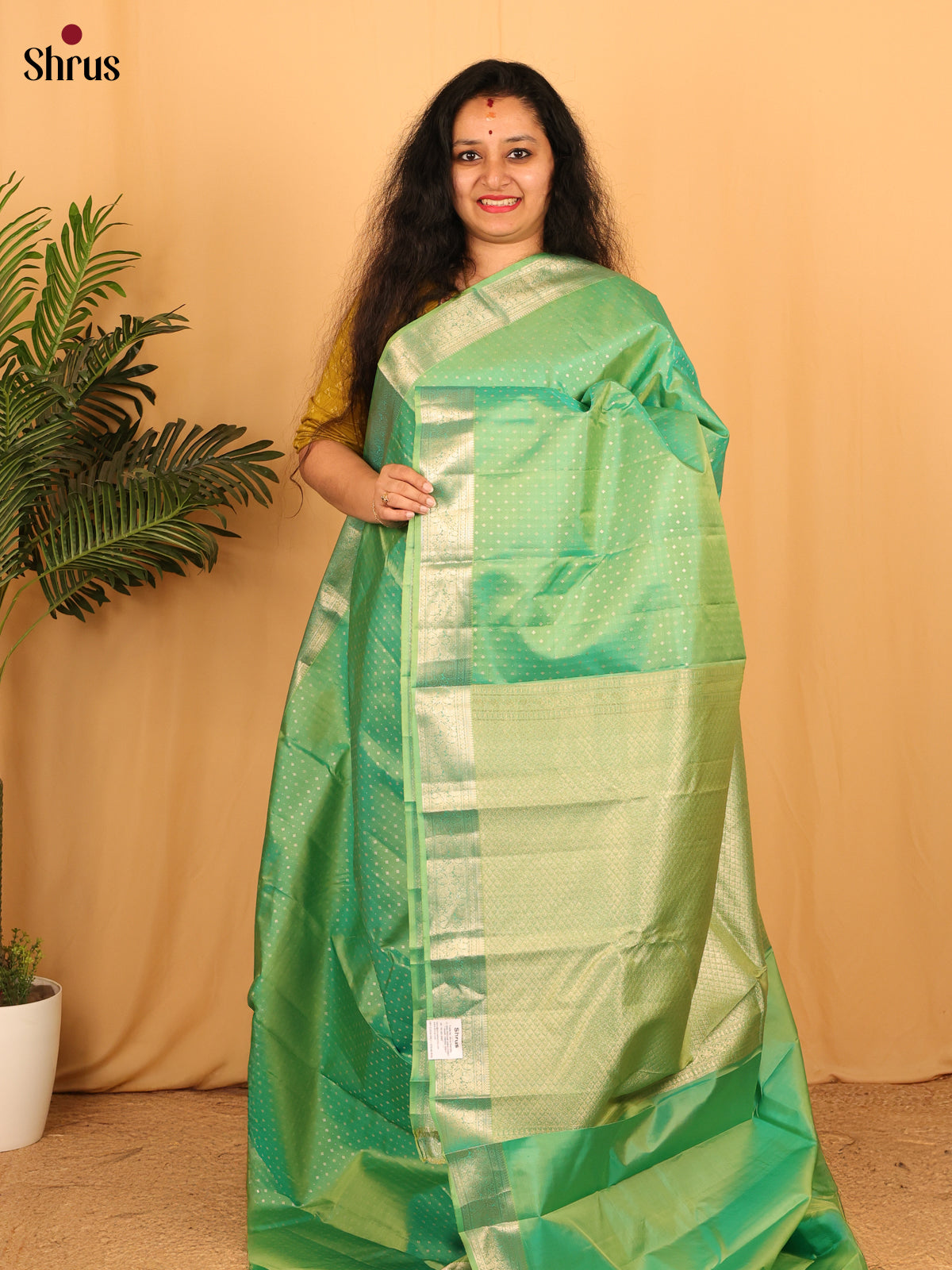Pastel Green(Single tone) - Kanchipuram silk Saree - Shop on Shrus.com