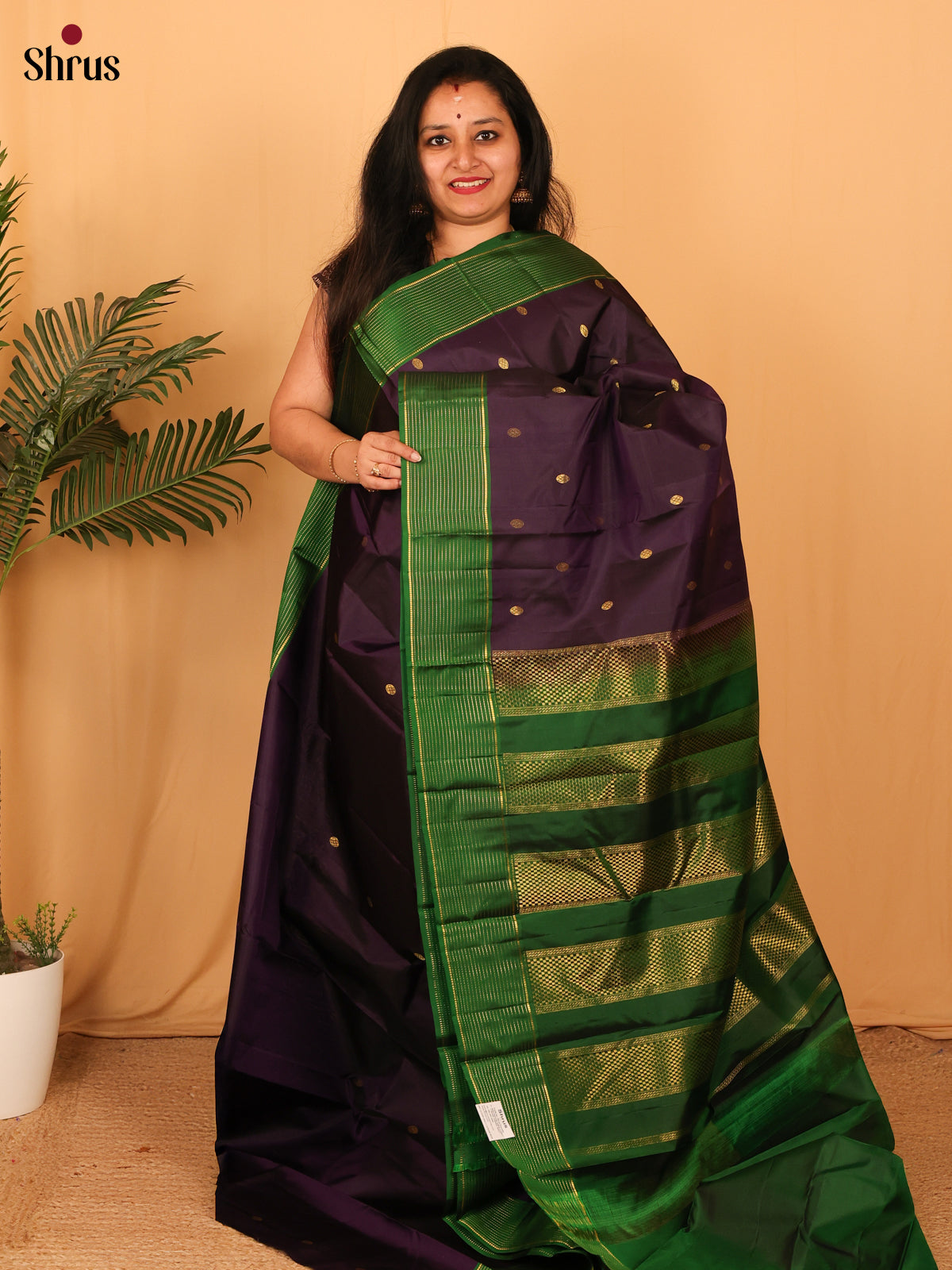 Violet & Green - Kanchipuram silk Saree - Shop on Shrus.com