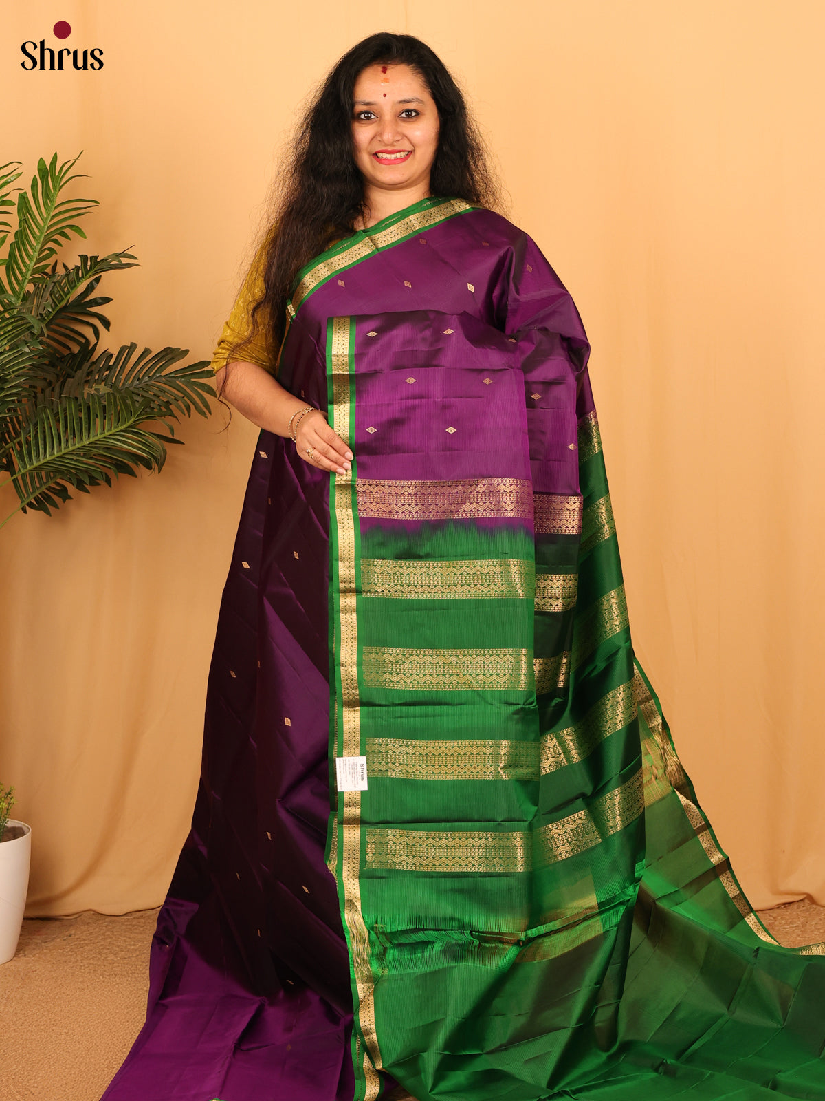 Violet & Green - Kanchipuram silk Saree - Shop on Shrus.com