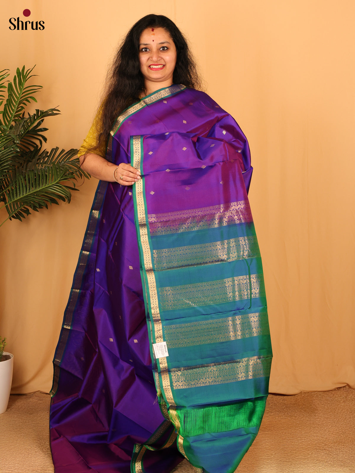 Violet & Green - Kanchipuram silk Saree - Shop on Shrus.com