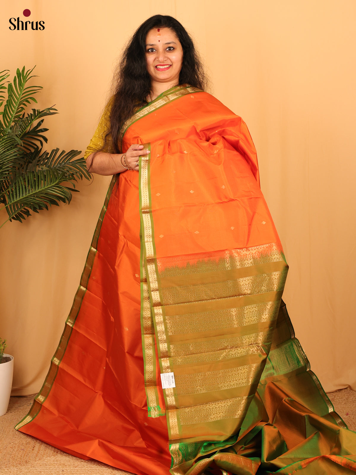 Orange & Green - Kanchipuram silk Saree - Shop on Shrus.com