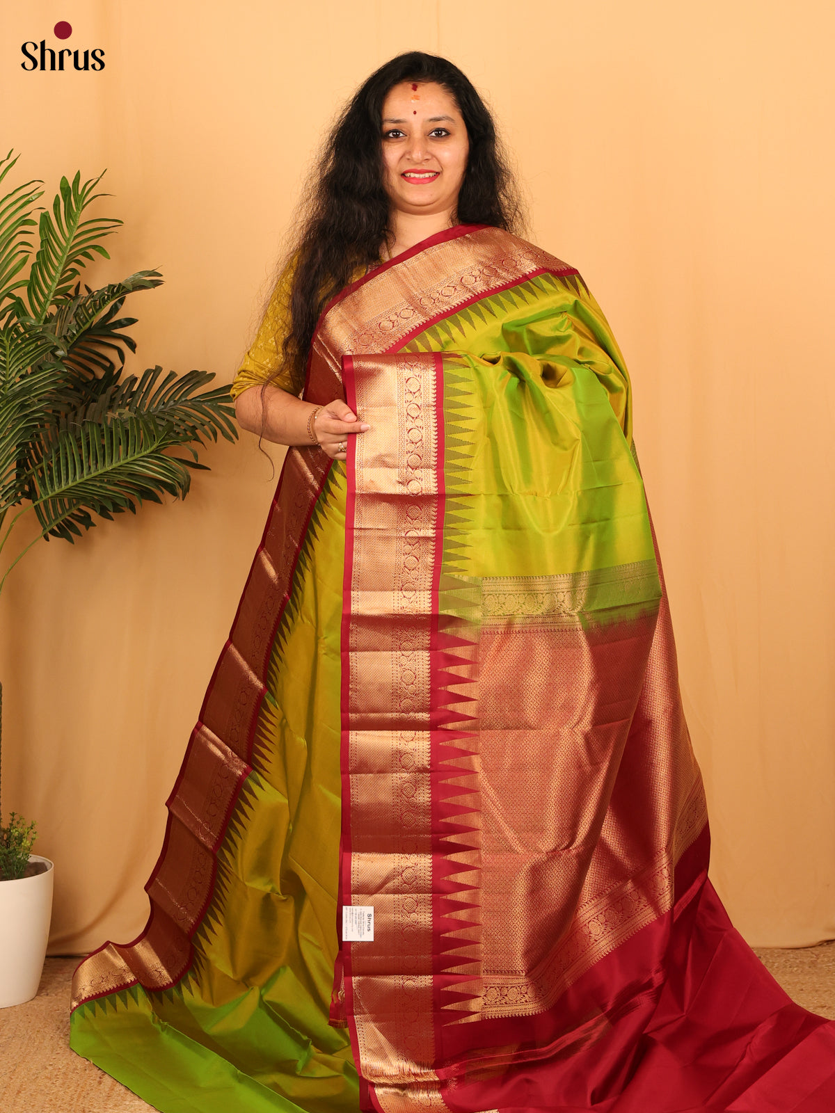 Parrot Green & Maroon - Kanchipuram silk Saree - Shop on Shrus.com