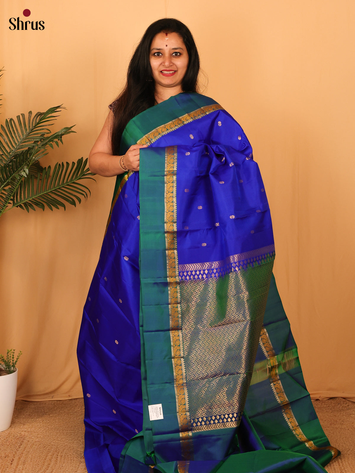 Blue & Green - Kanchipuram silk Saree - Shop on Shrus.com