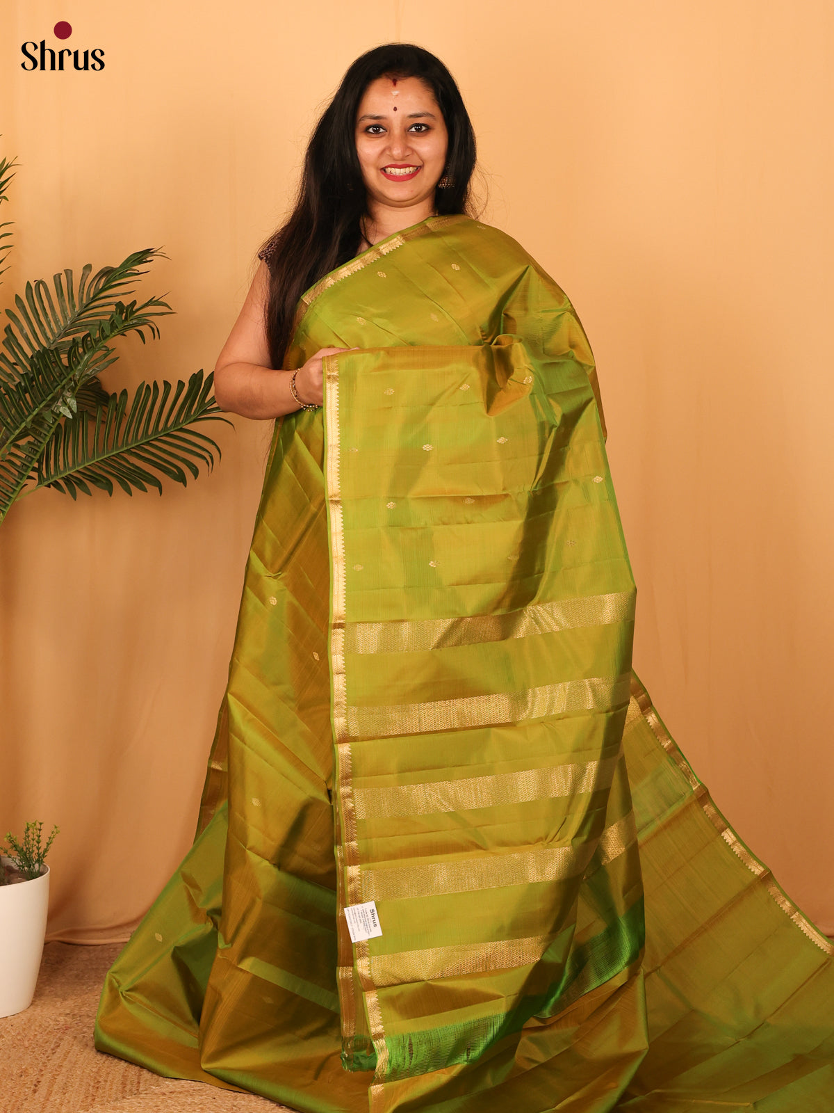 Leaf Green(Single Tone)- Kanchipuram silk Saree - Shop on Shrus.com