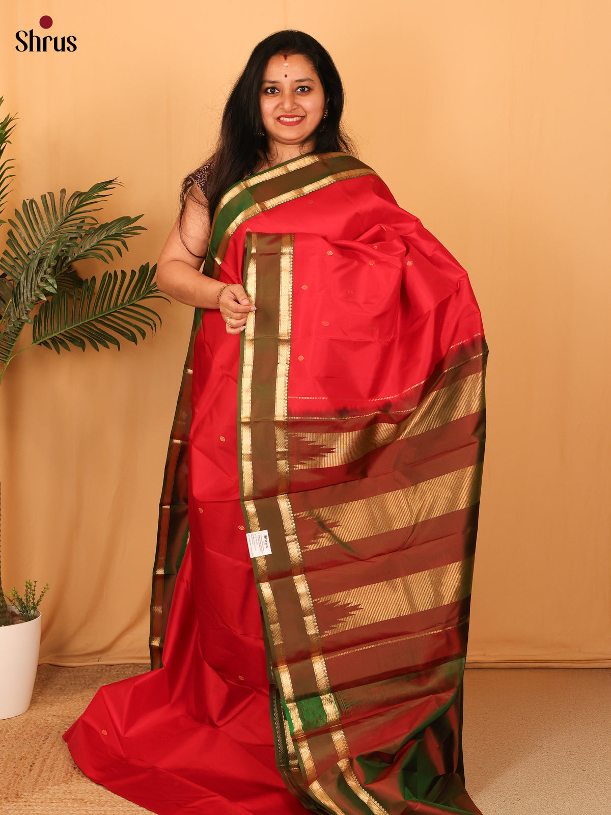 Red & Green - Kanchipuram silk Saree - Shop on Shrus.com