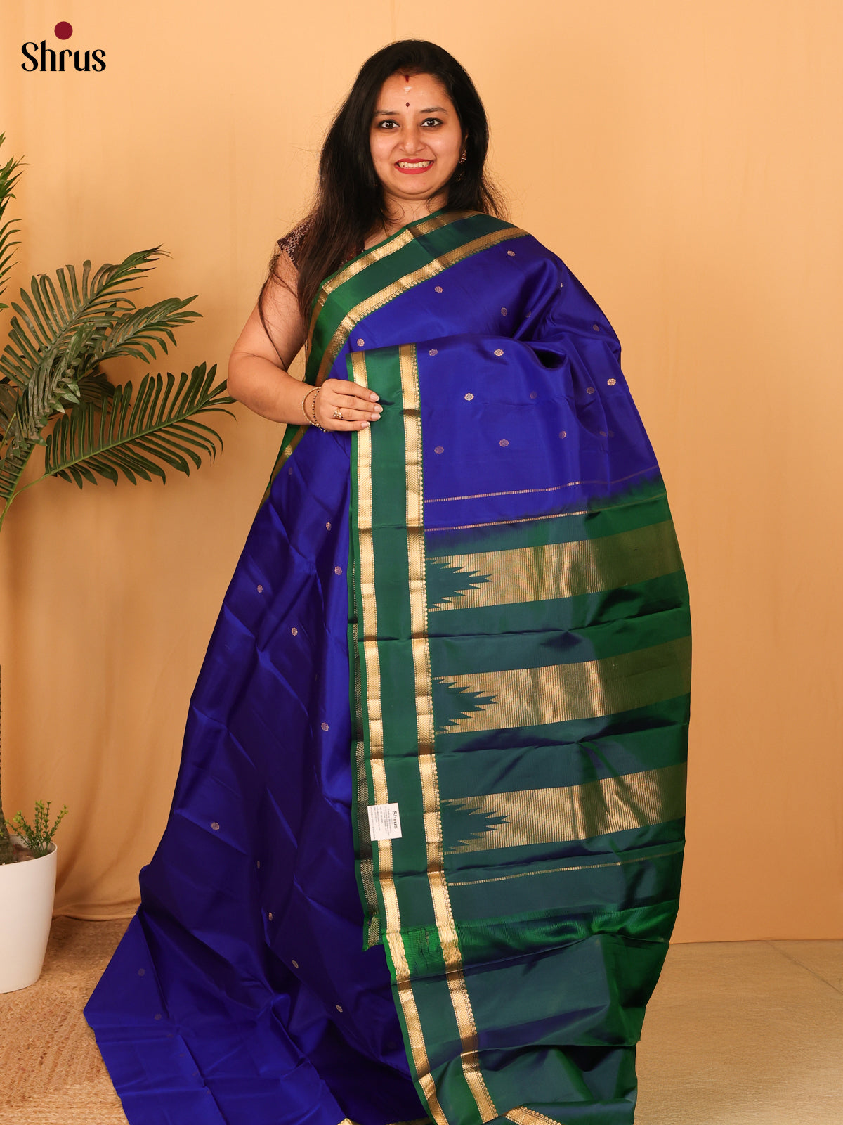 Blue & Green - Kanchipuram silk Saree - Shop on Shrus.com
