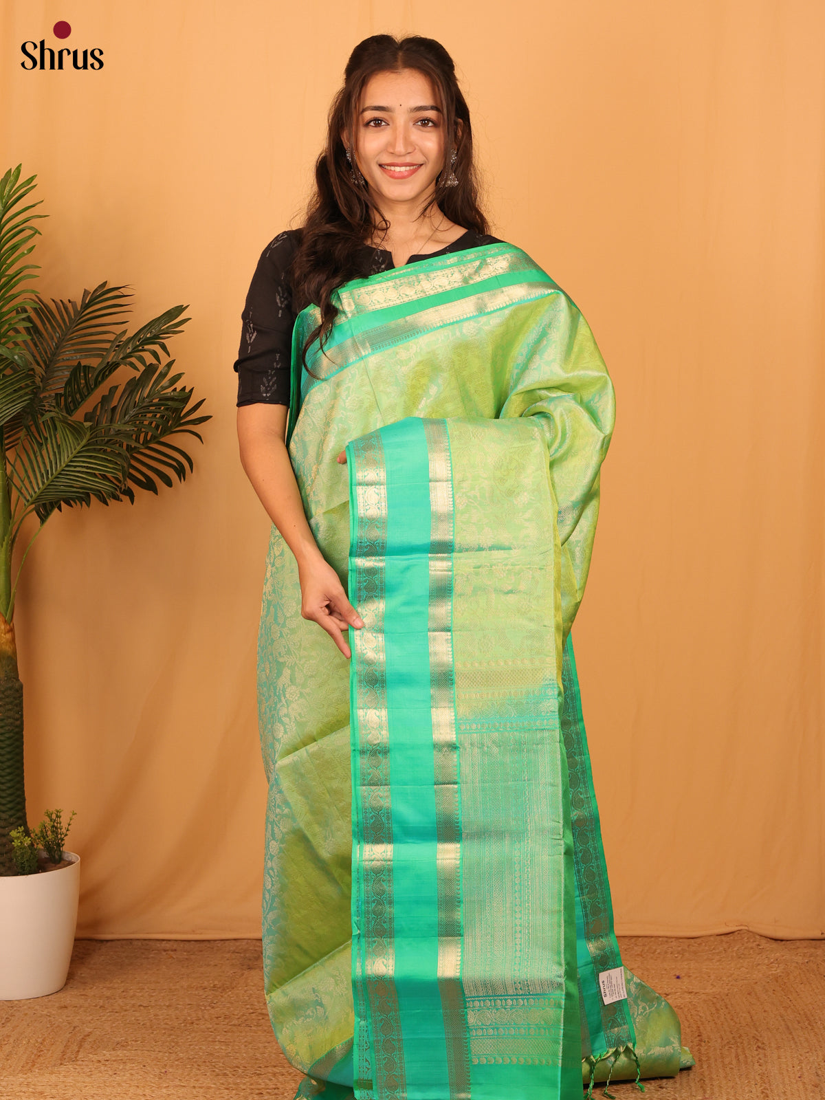 Pista Green & Teal - Soft Silk Saree - Shop on Shrus.com