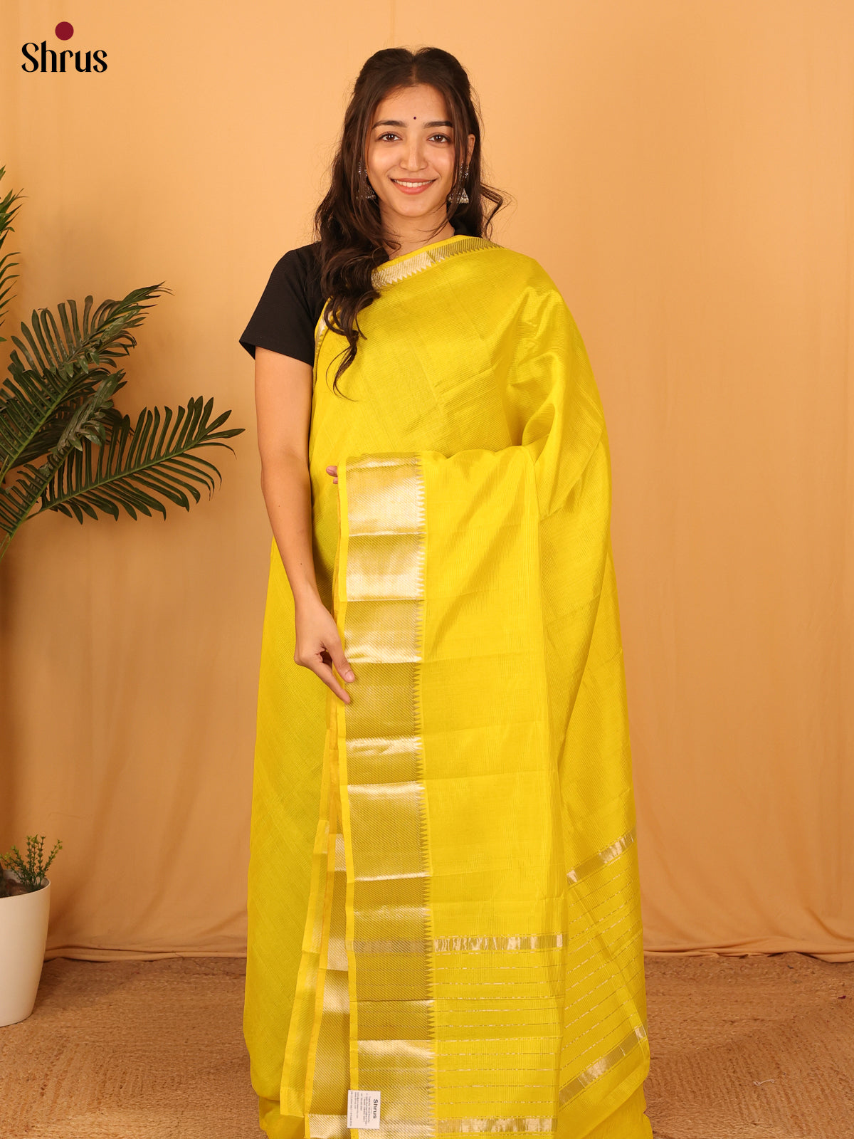 Yellow(single Tone) - Mangalagiri silkcotton Saree with Gold Zari Border - Shop on Shrus.com