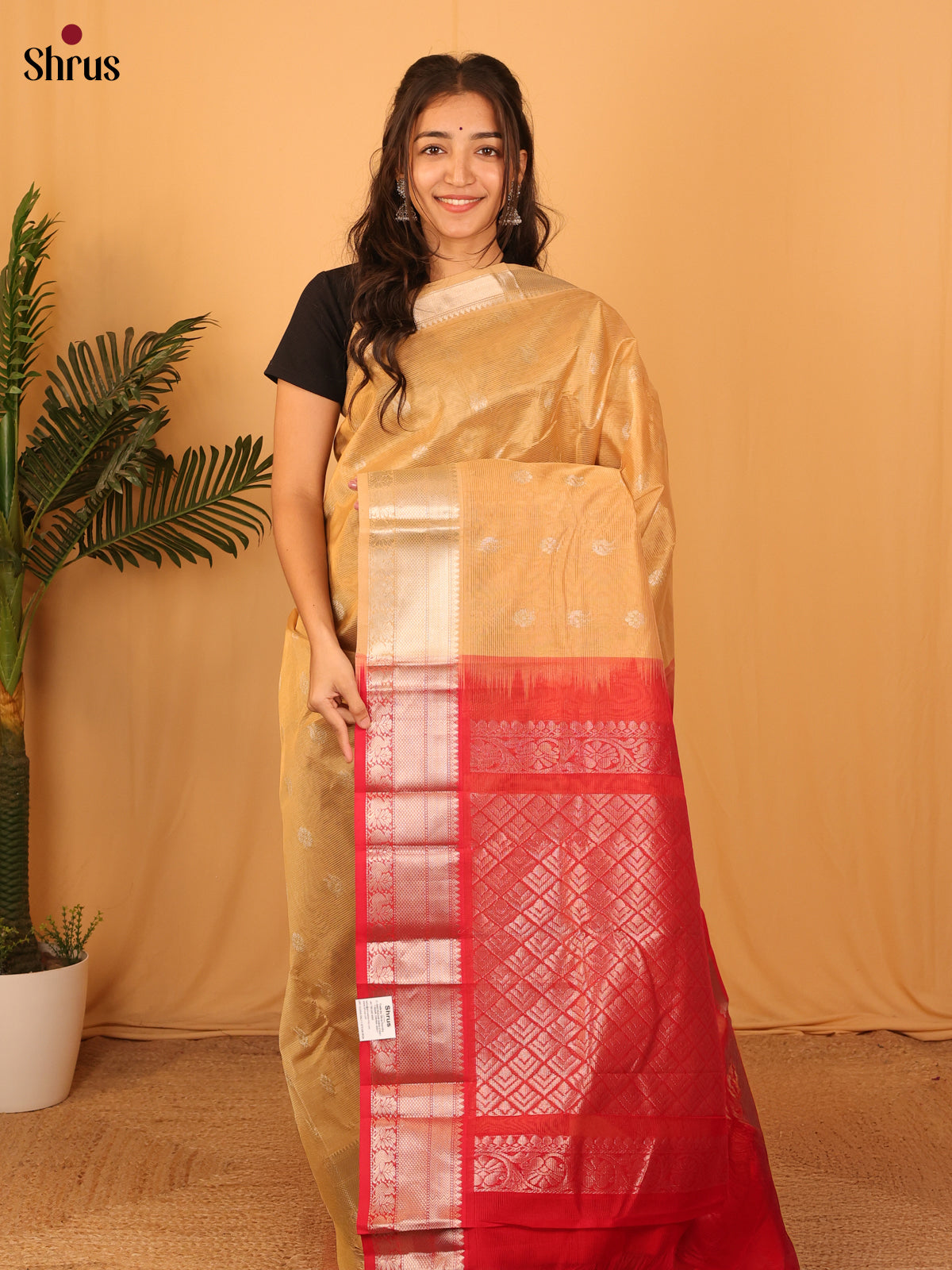 Elegant Sandal & Red Mangalagiri silk cotton Saree with Silver Zari Border