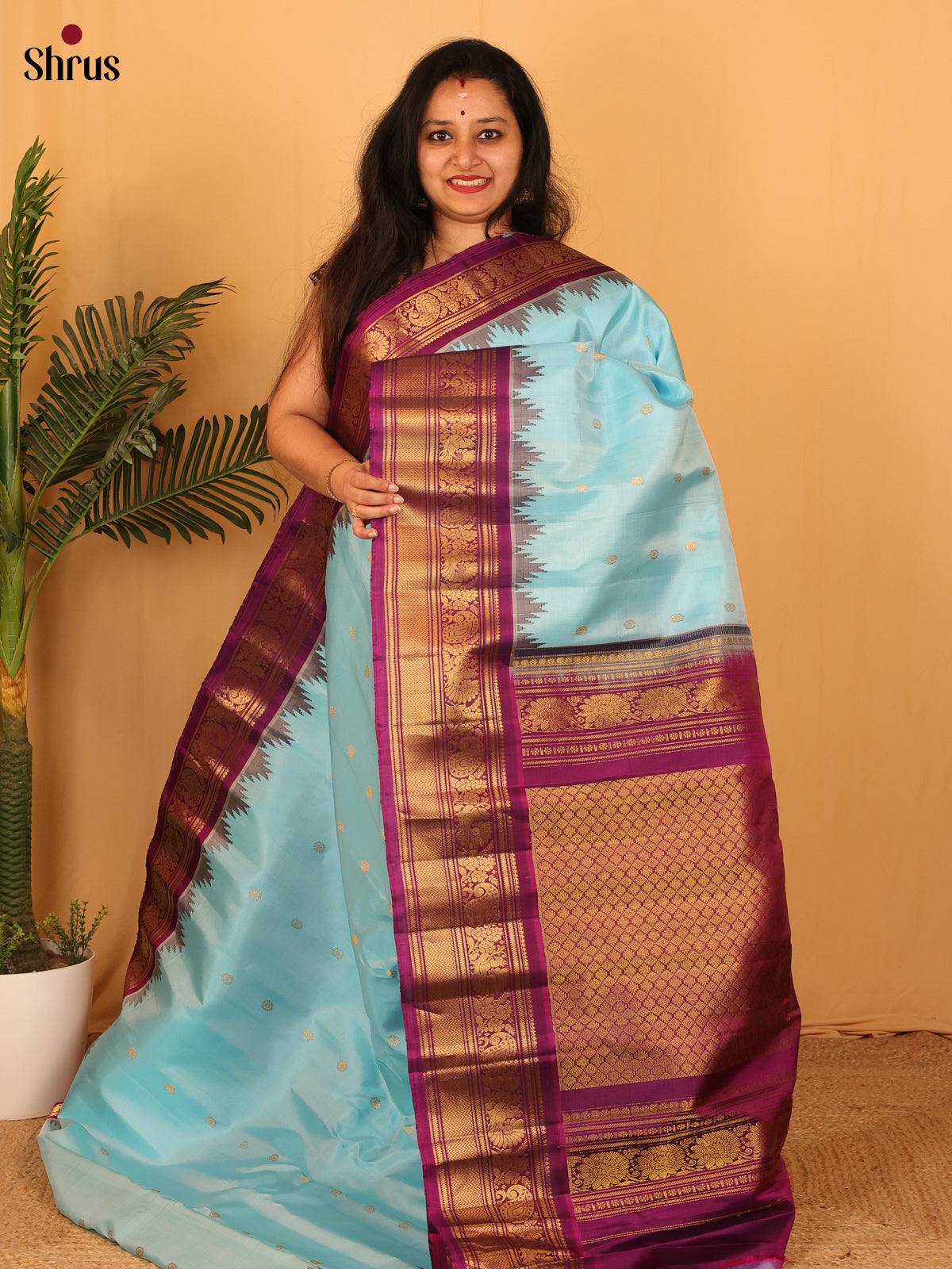 Blue & Purple - Gadwal silk Saree - Shop on Shrus.com