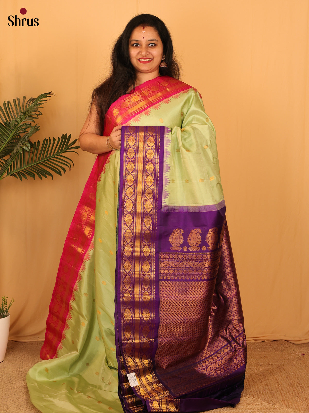 Sophisticated Pista Green Gadwal Silk Saree with Ganga Jamuna Border