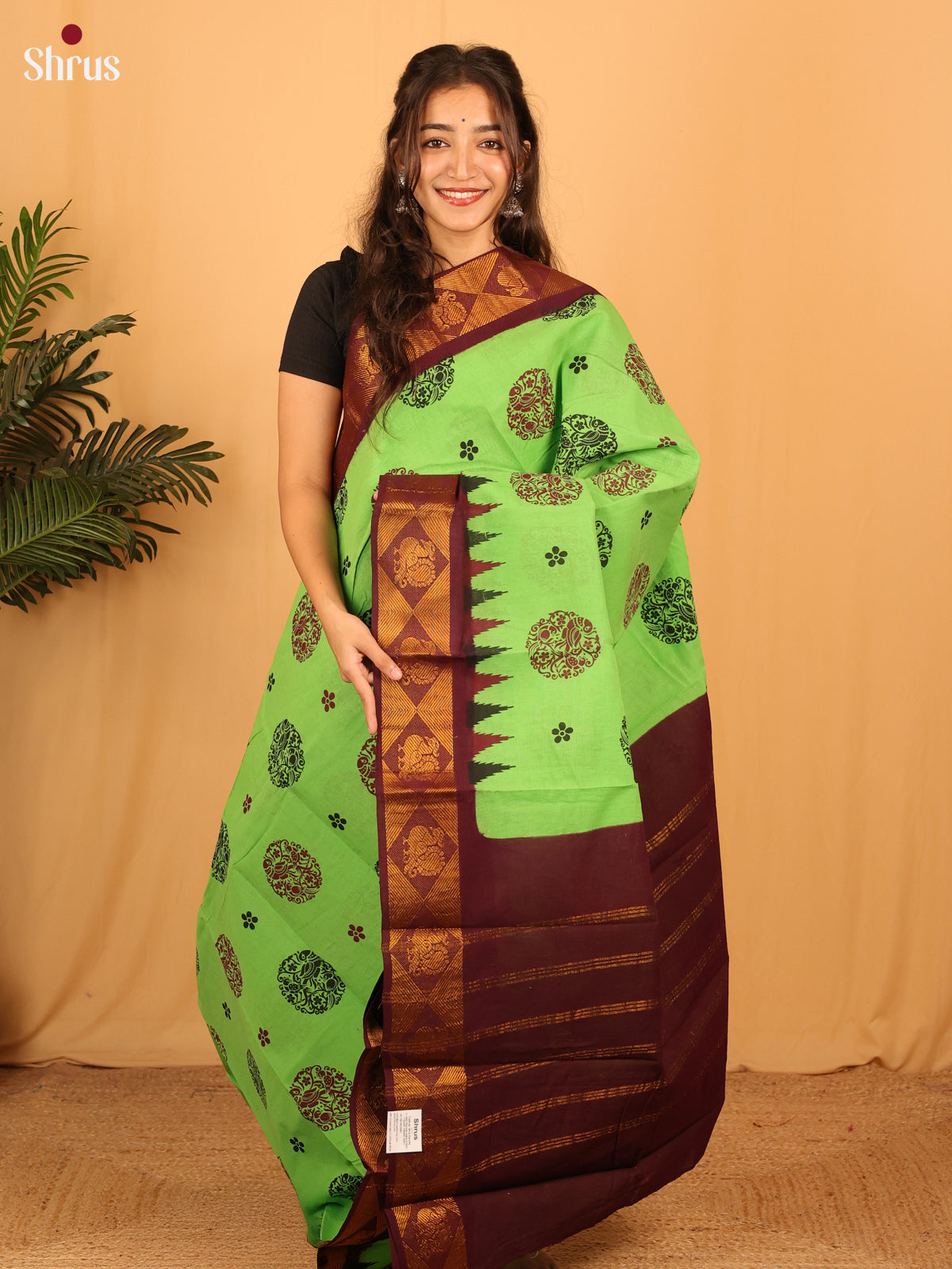 Green & Maroon - Sungudi Cotton Saree - Shop on Shrus.com